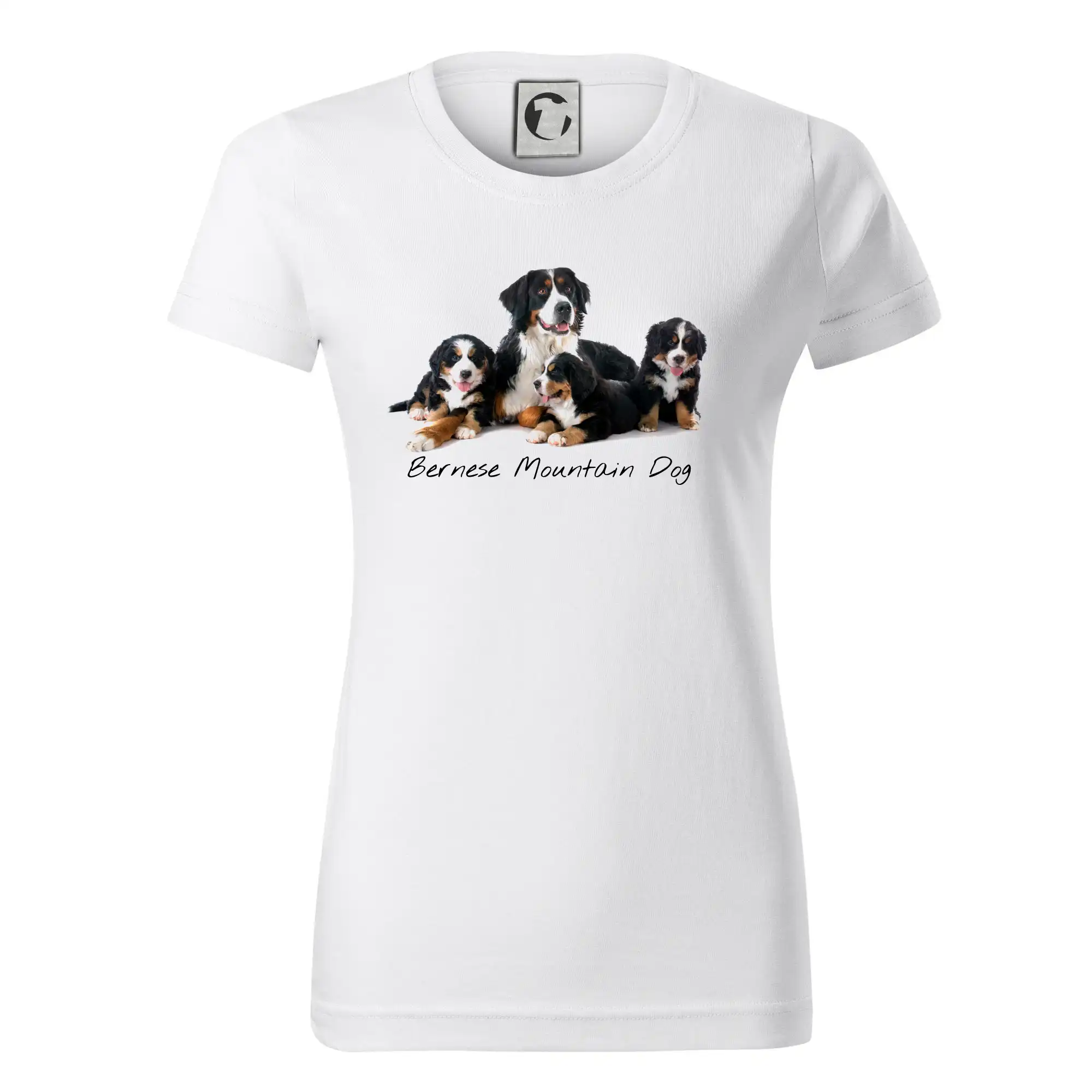 Bernese mountain dog celá rodina