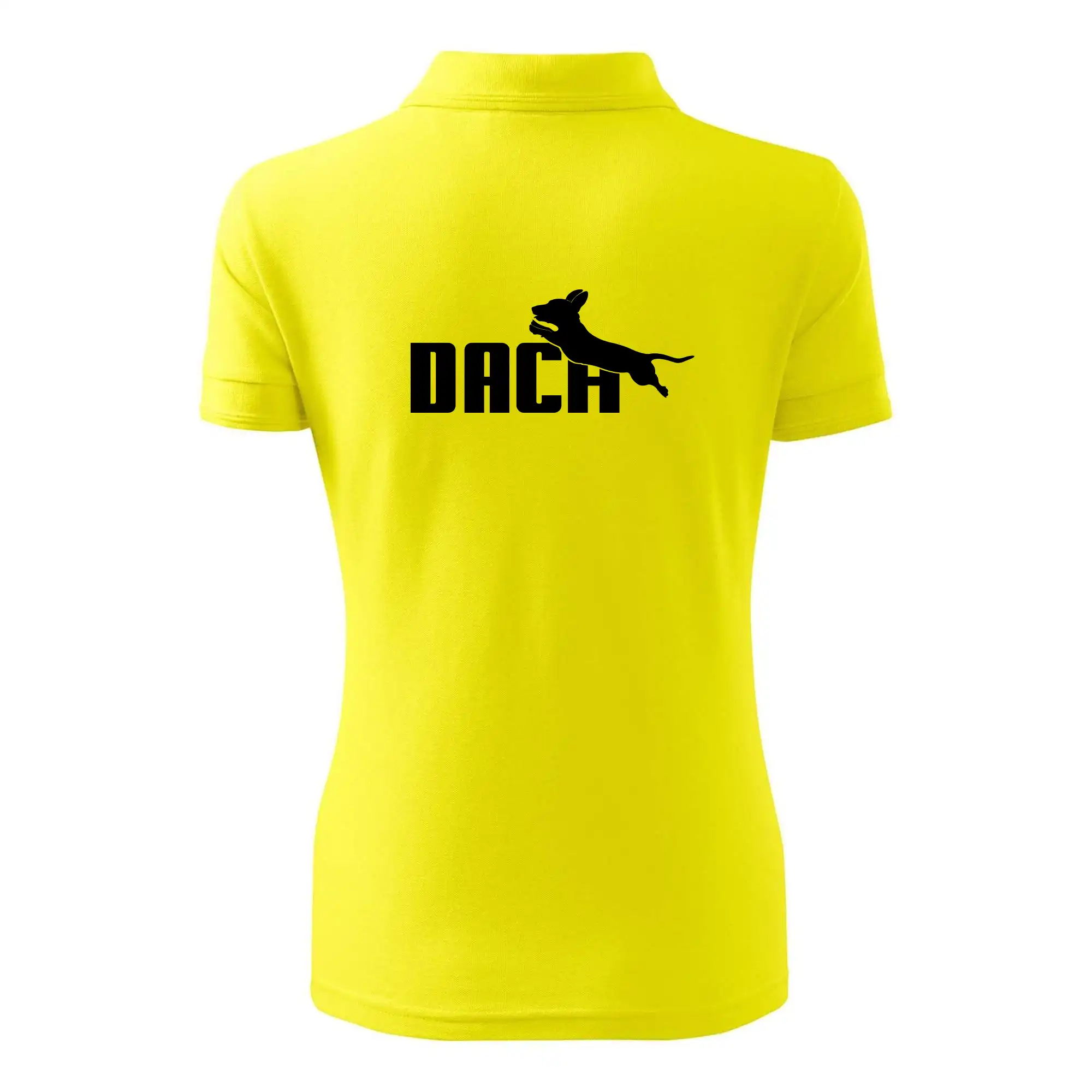 Jazvečík Dach