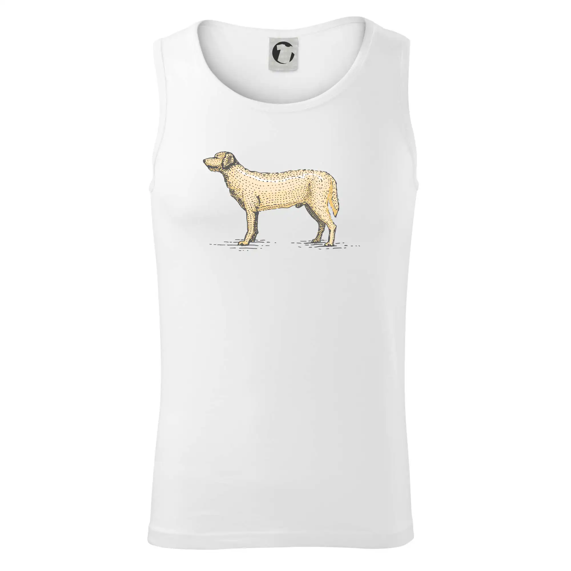 Vintage Labrador