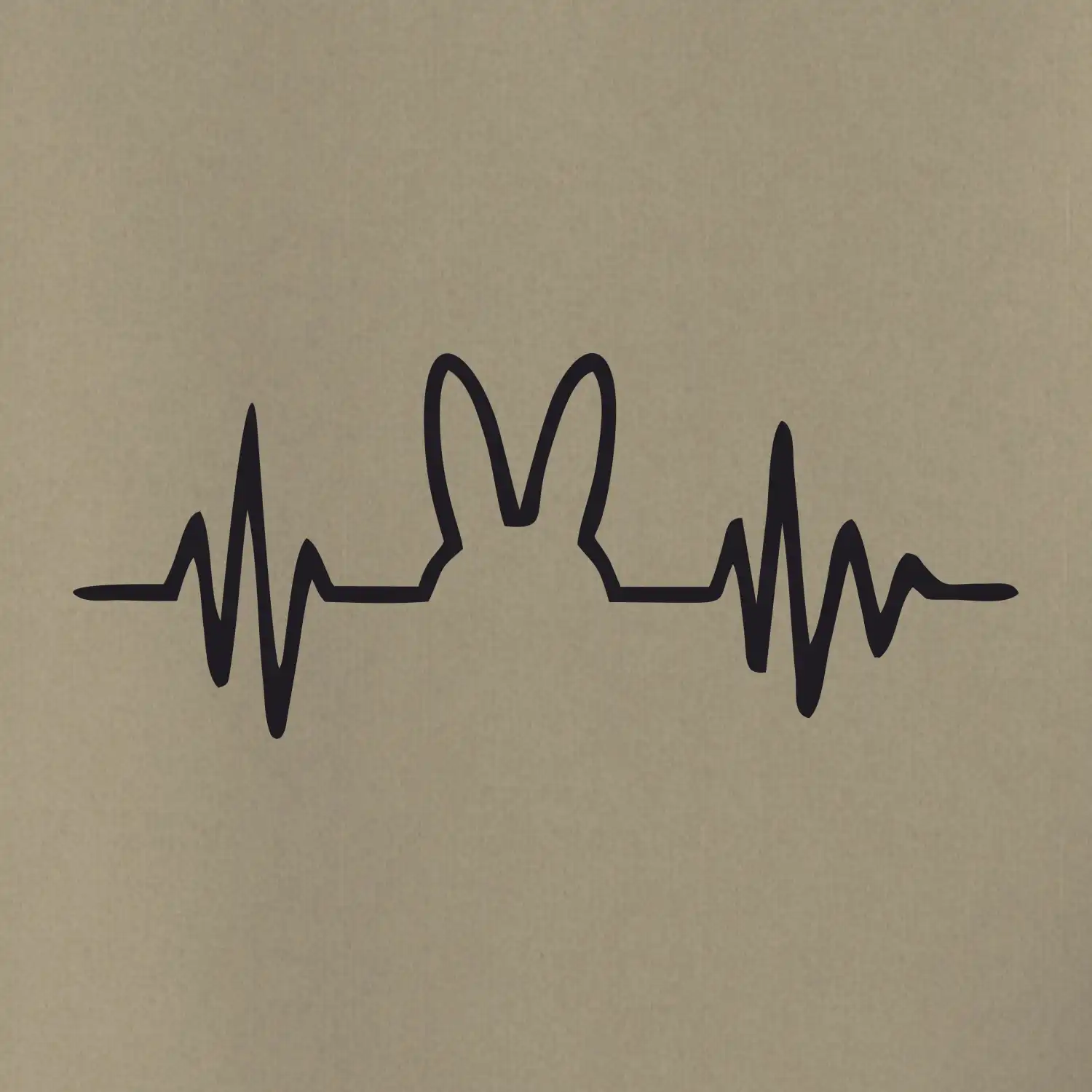 EKG zajíc