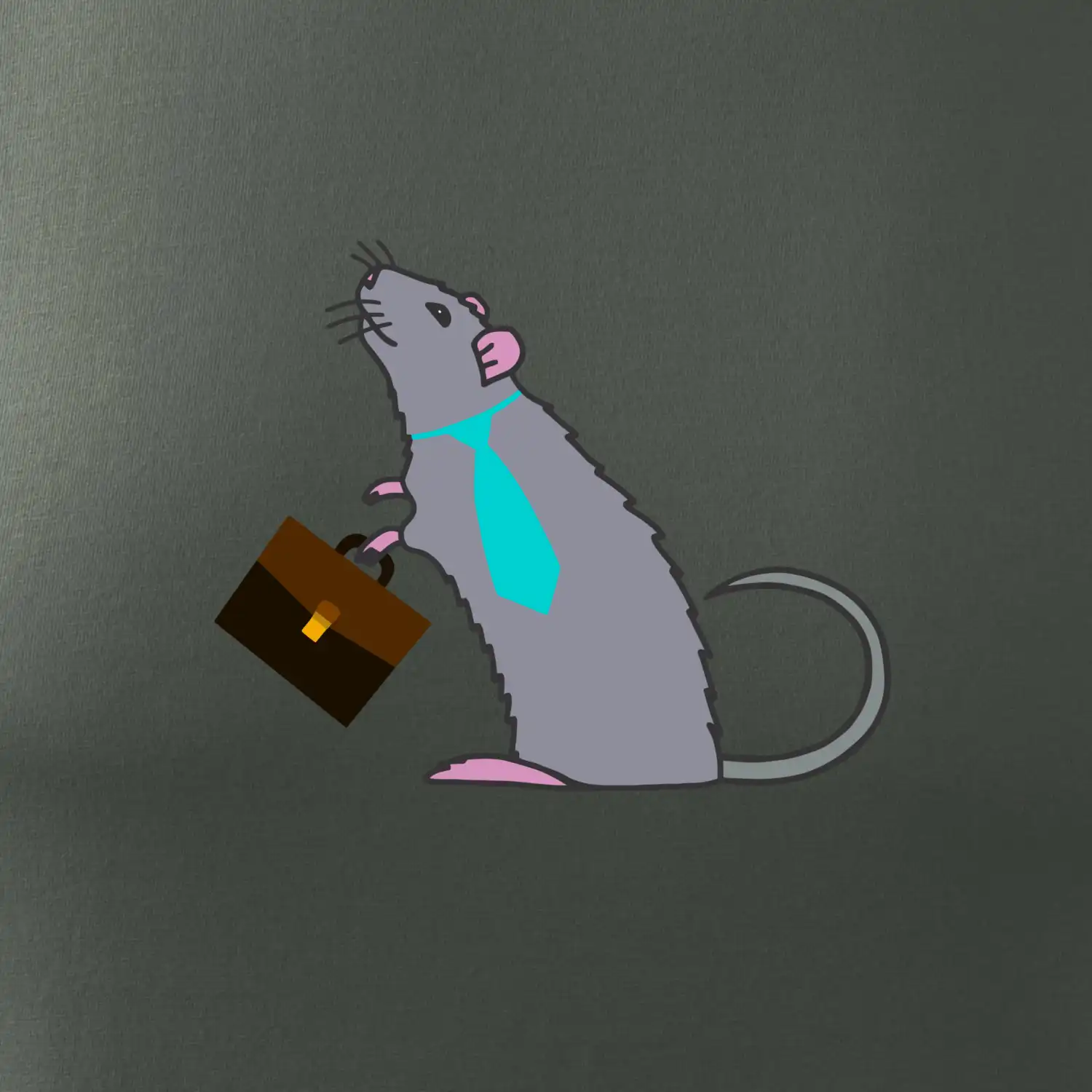 Krysa kancelářská barevná (Moňas)