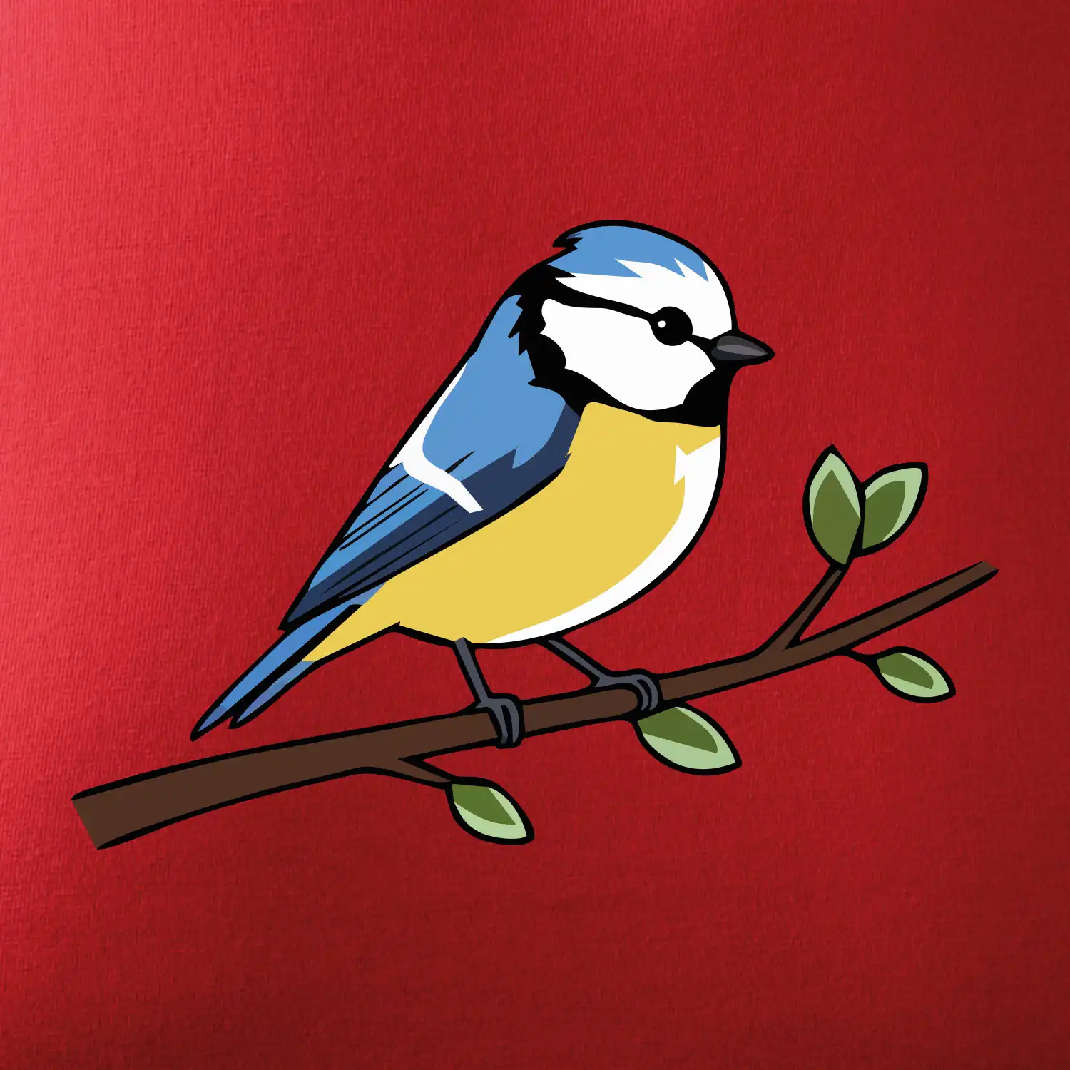 Sýkorka modřinka na větvi