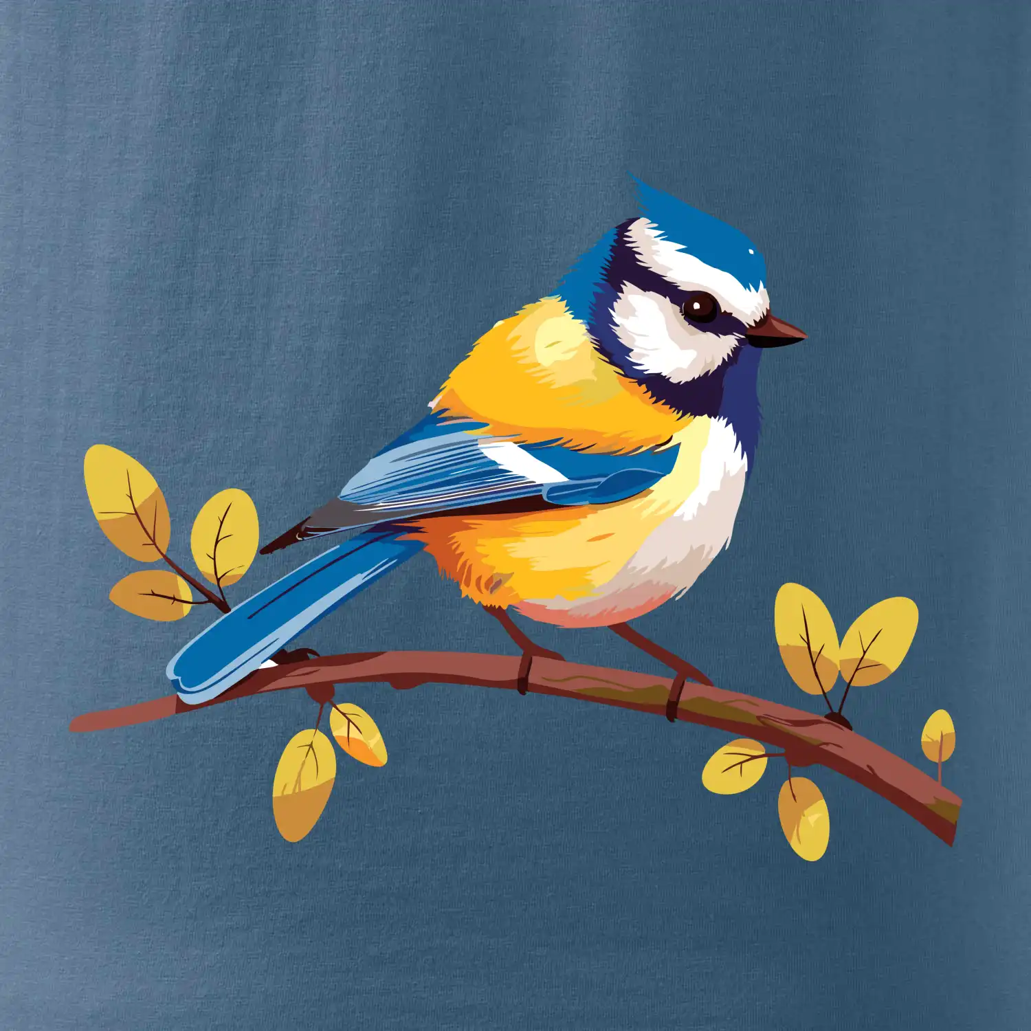 Sýkorka modřinka kreslená