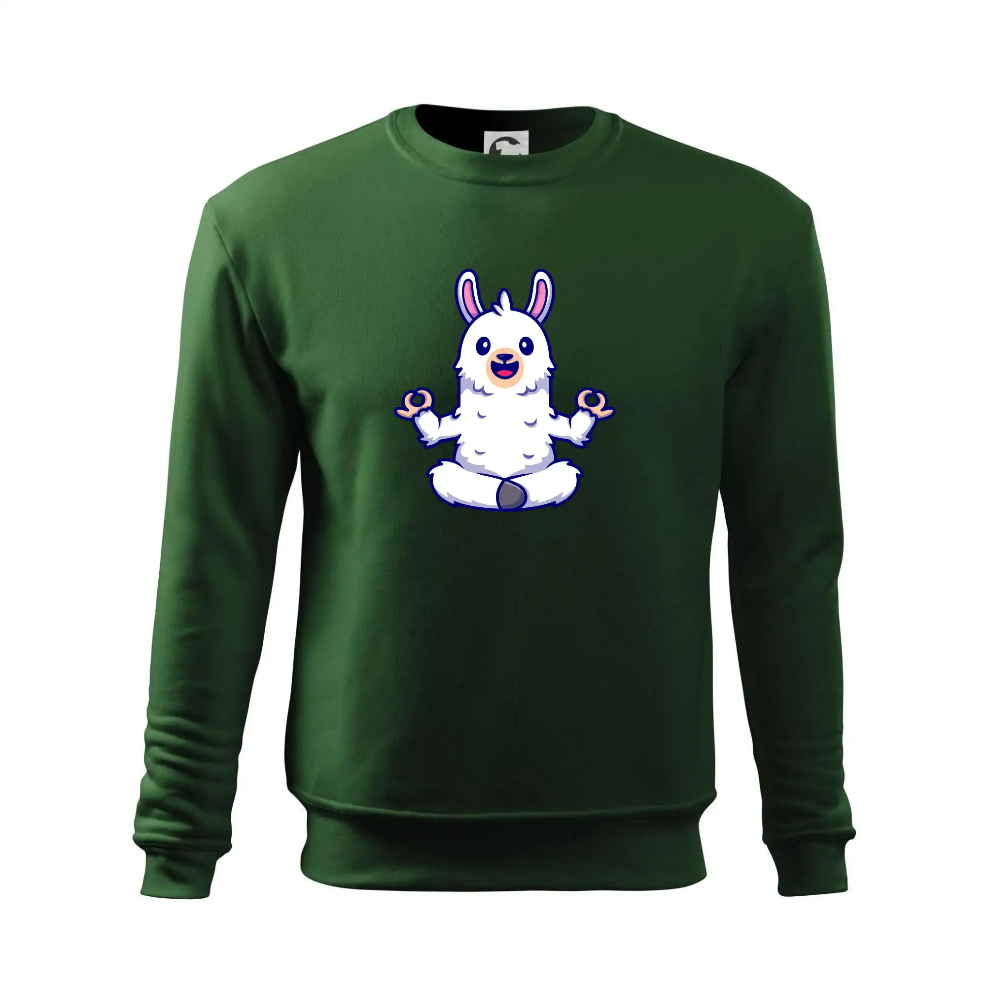 Yoga meditace - lama