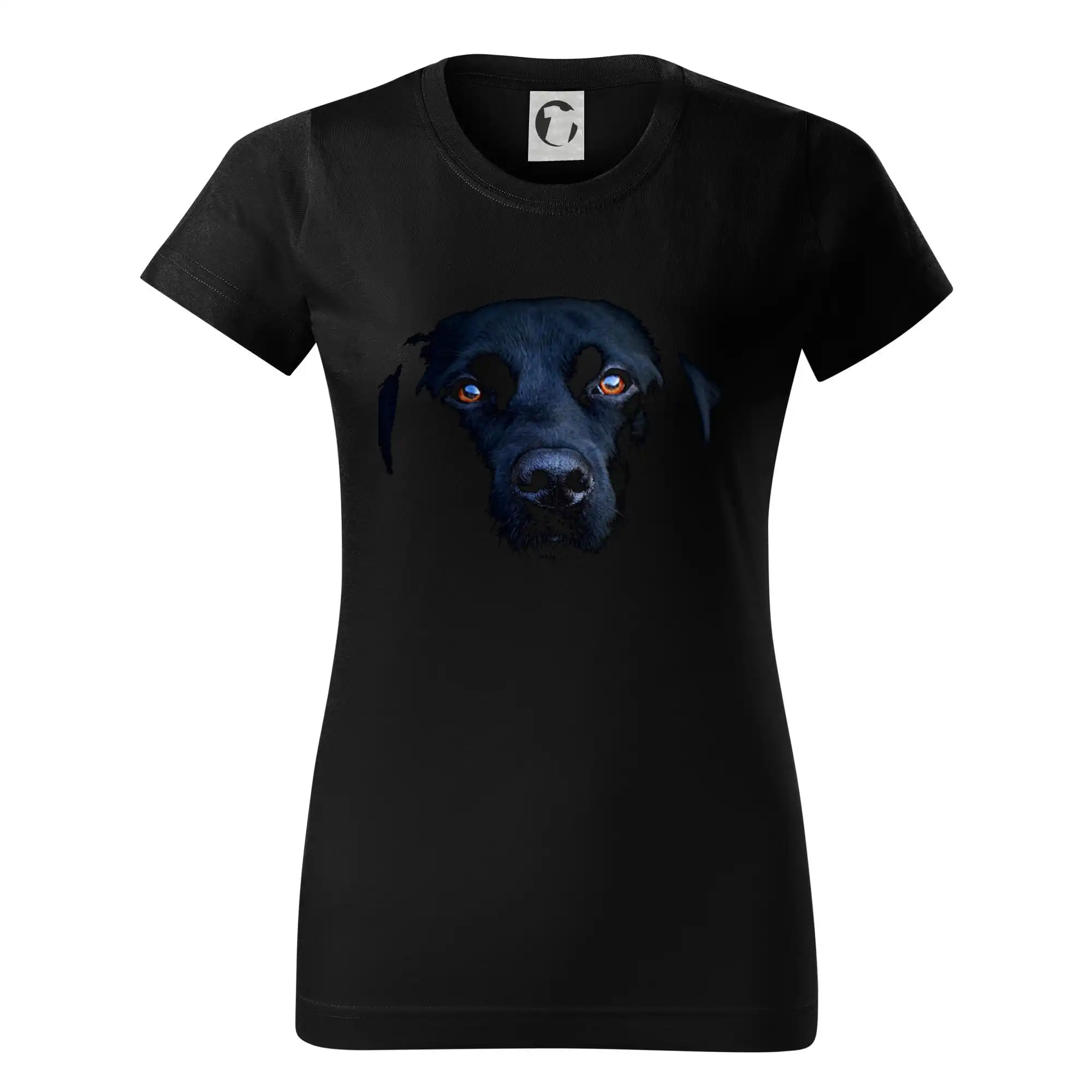 Černý Labrador fotka