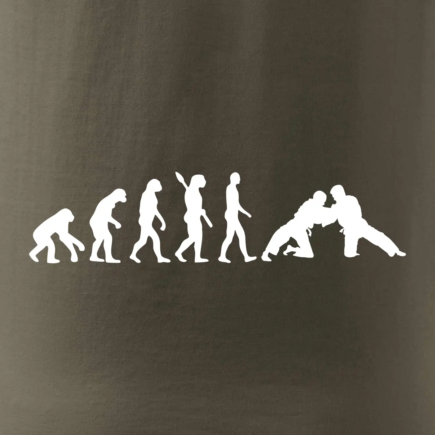 Judo Evoluce