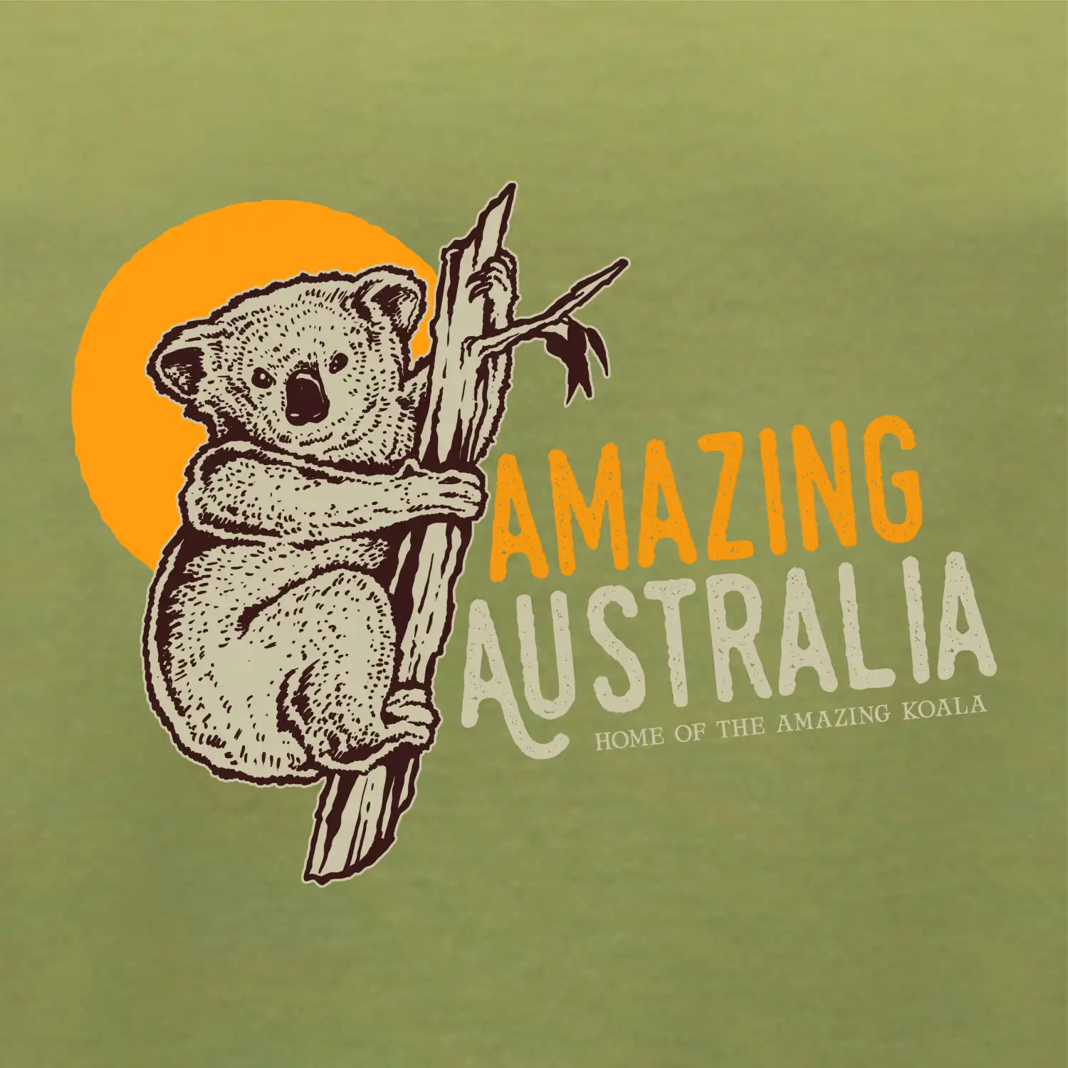 Amazing Australia koala