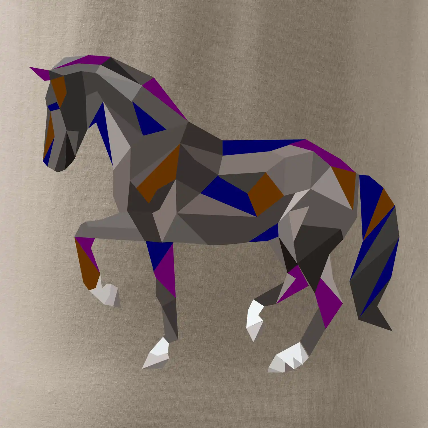 Kůň geometrie barevný