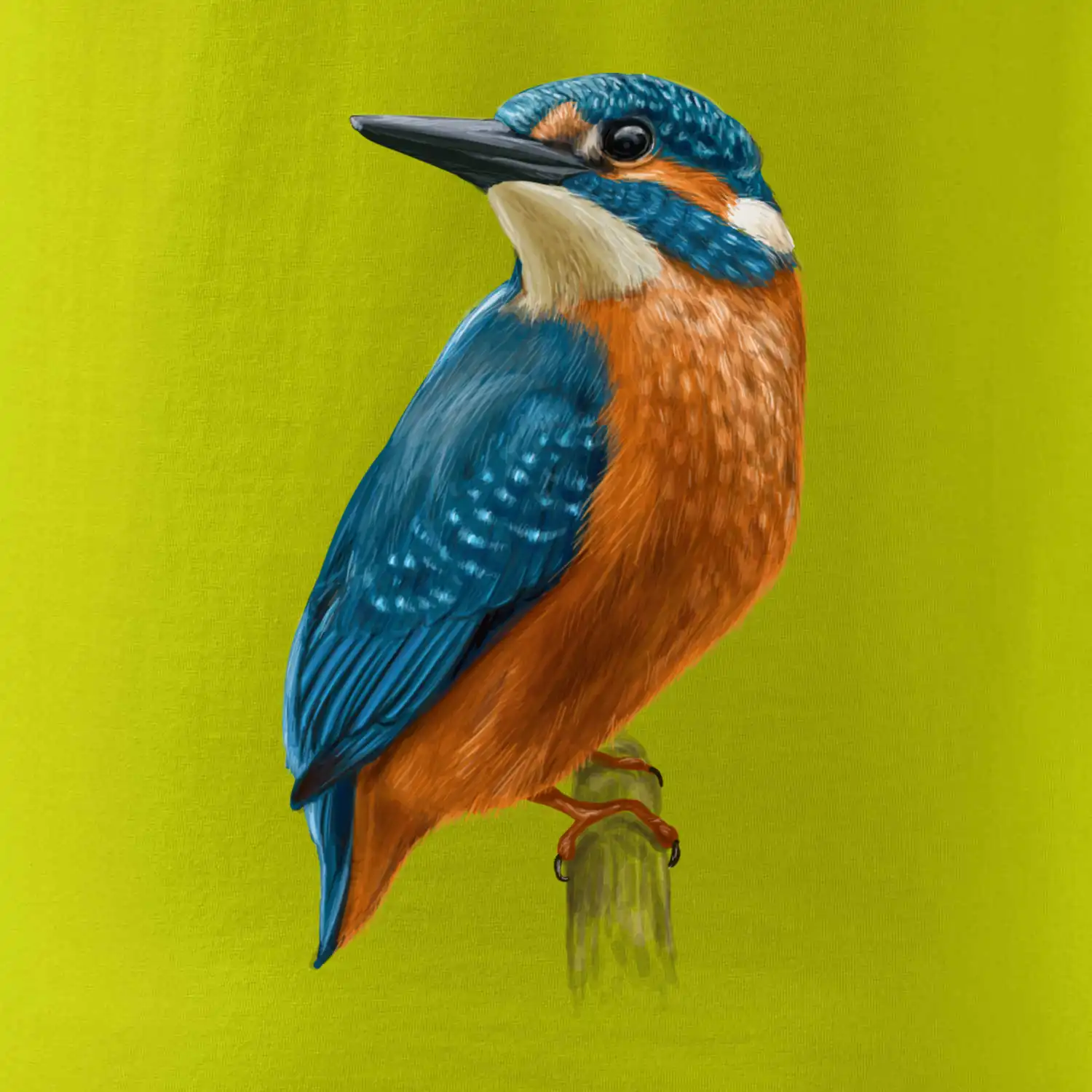 Lednáček kreslený