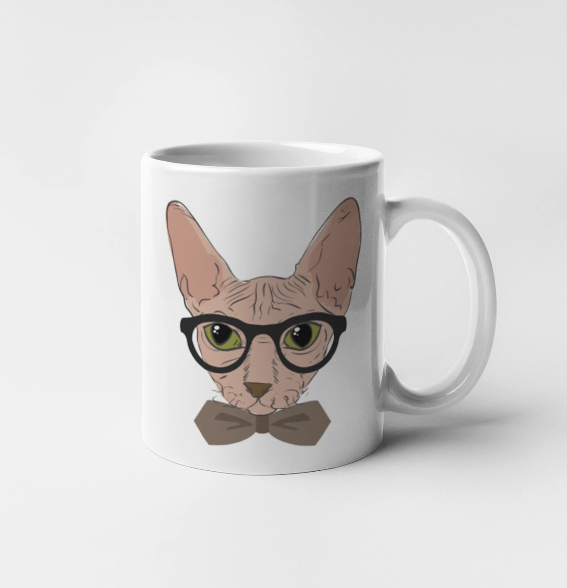 Hipster sphynx