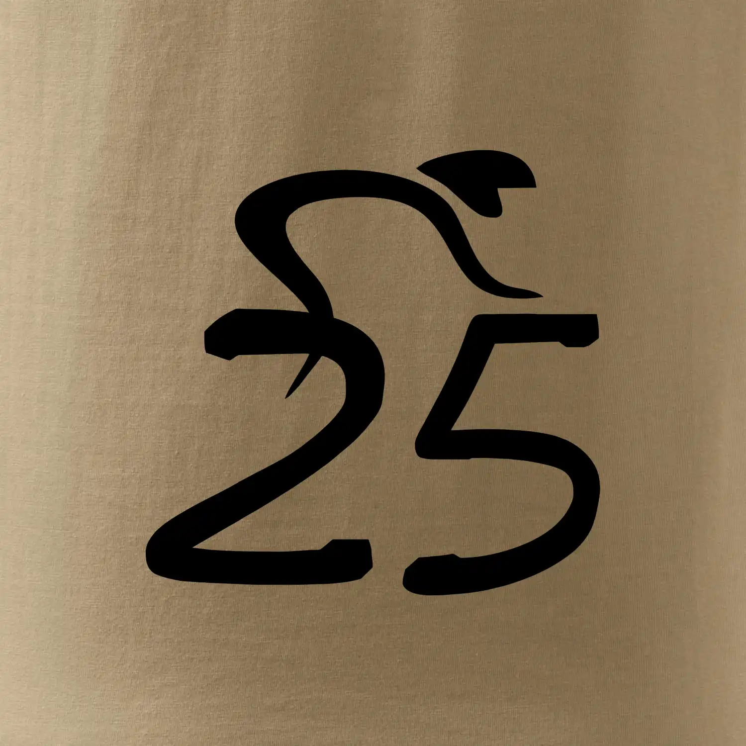 Cyklista slaví pětadvacítku (25)