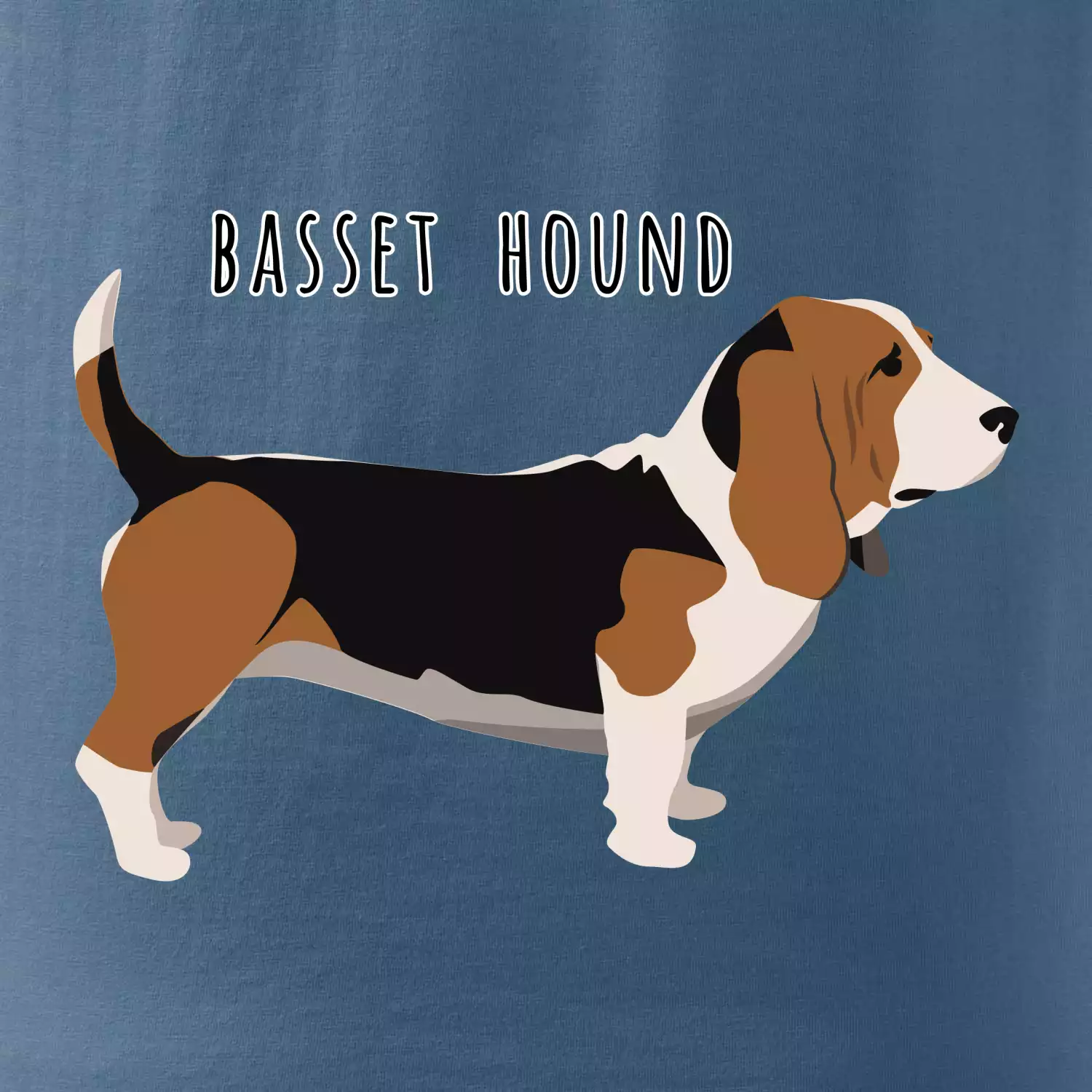 Basset hound pes s nápisem