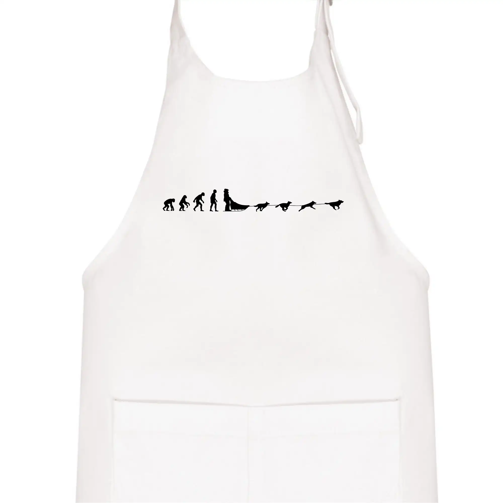 Evoluce psí spřežení