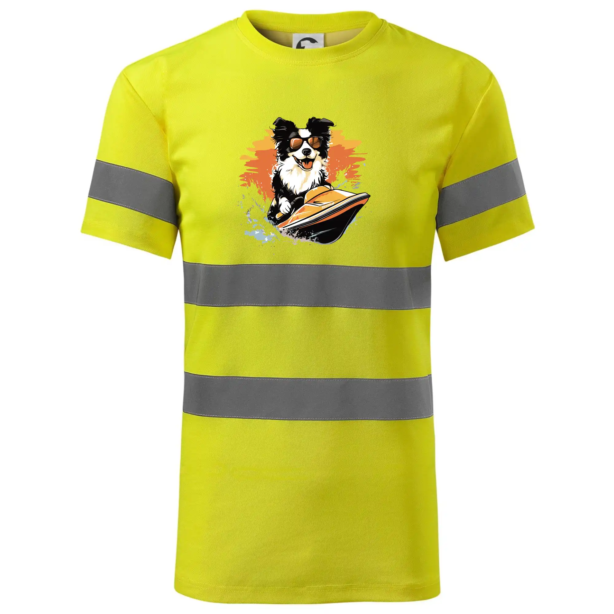 Border Kolie na vodním skútru