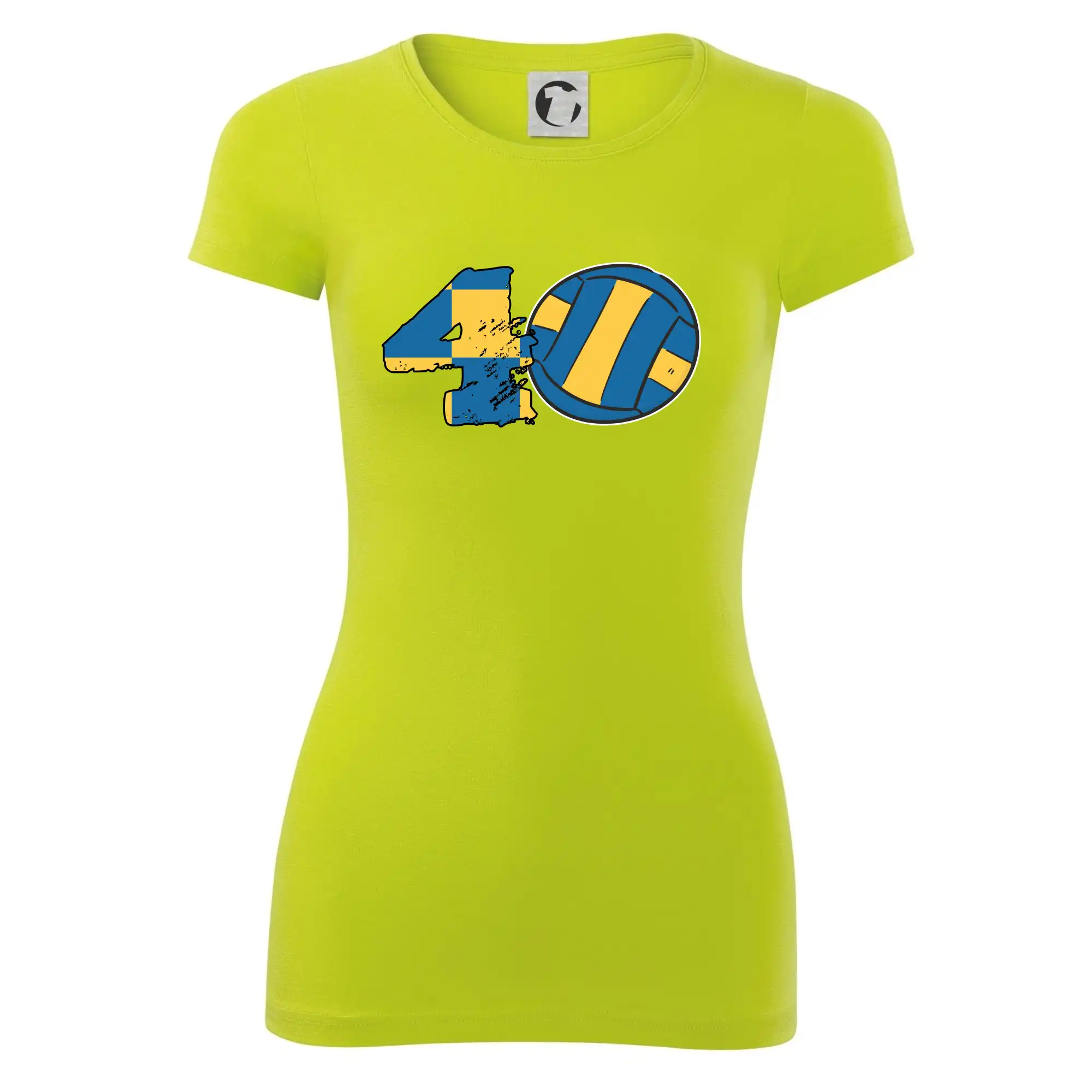 Volejbal kulaté narozeniny 40