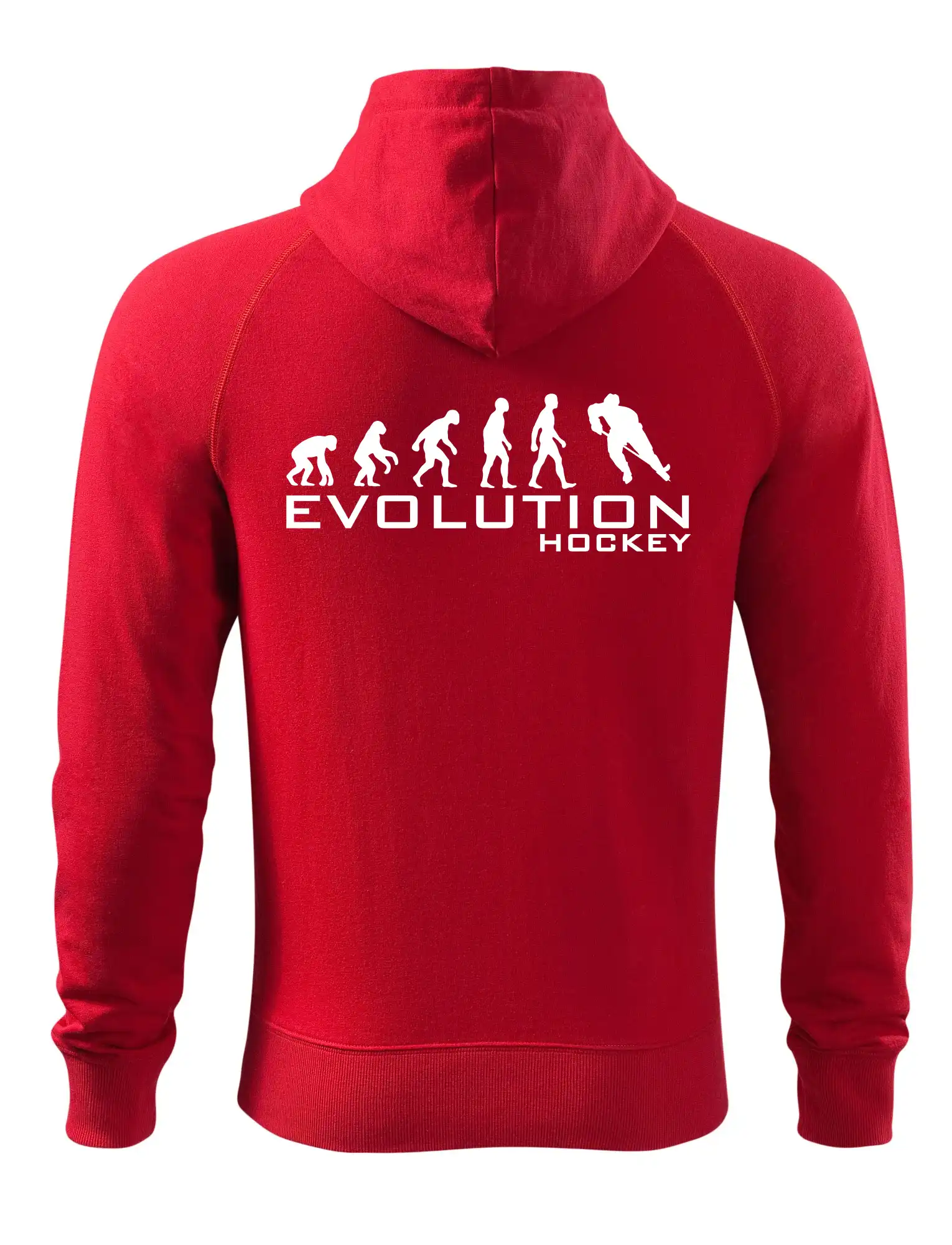 Evoluce Hockey - hráč
