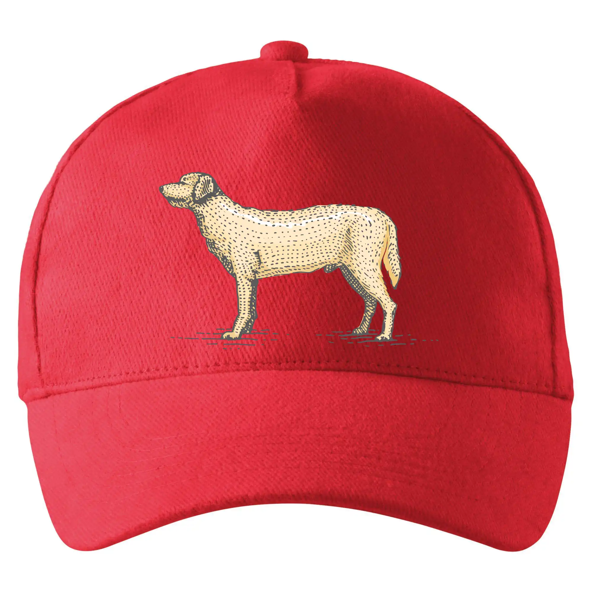 Vintage Labrador