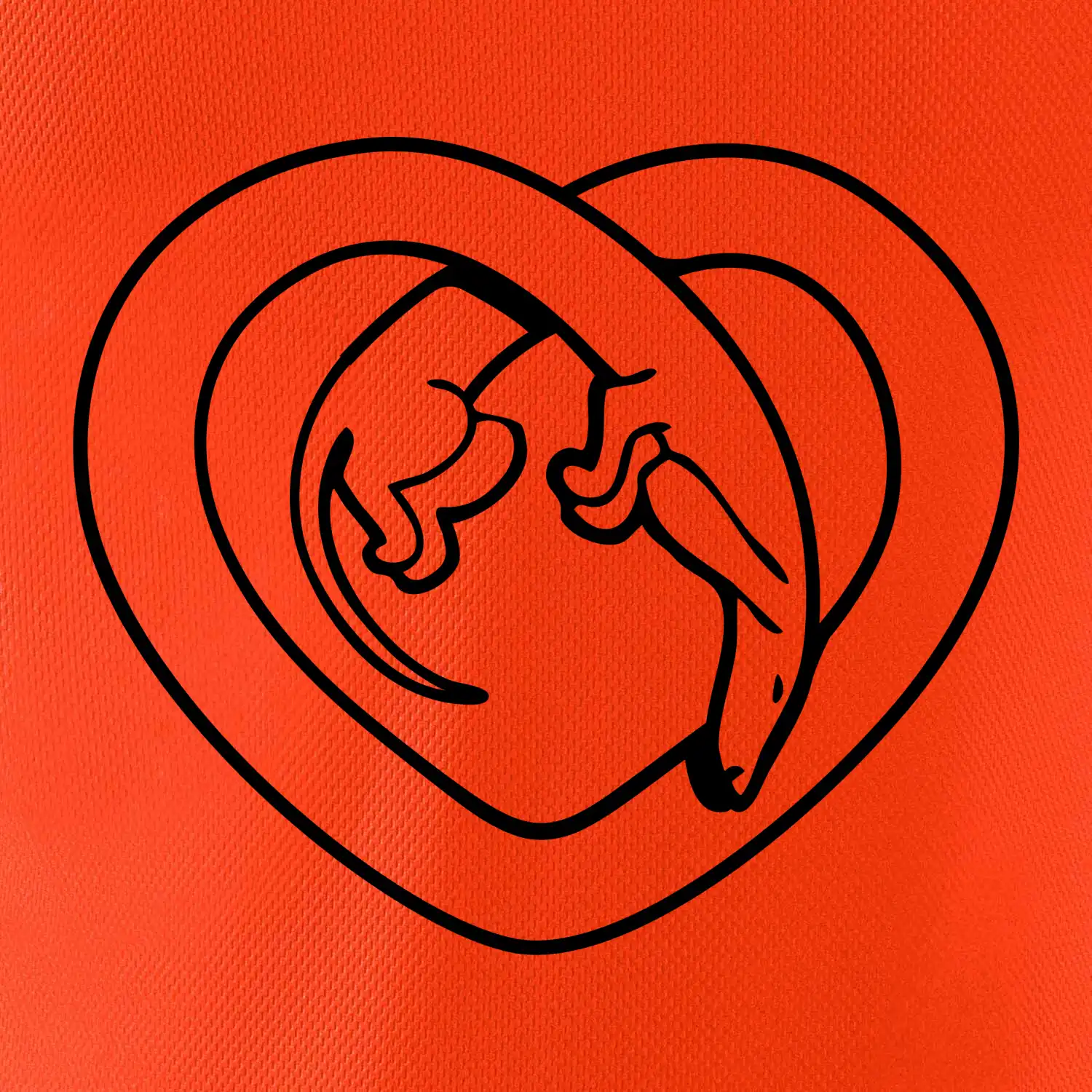 Jezevčík srdce - obrys