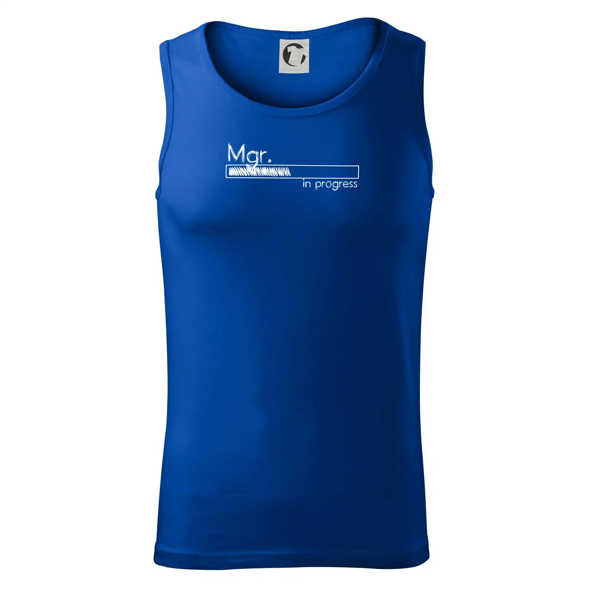 In progress titul Mgr.  magistr / magistra