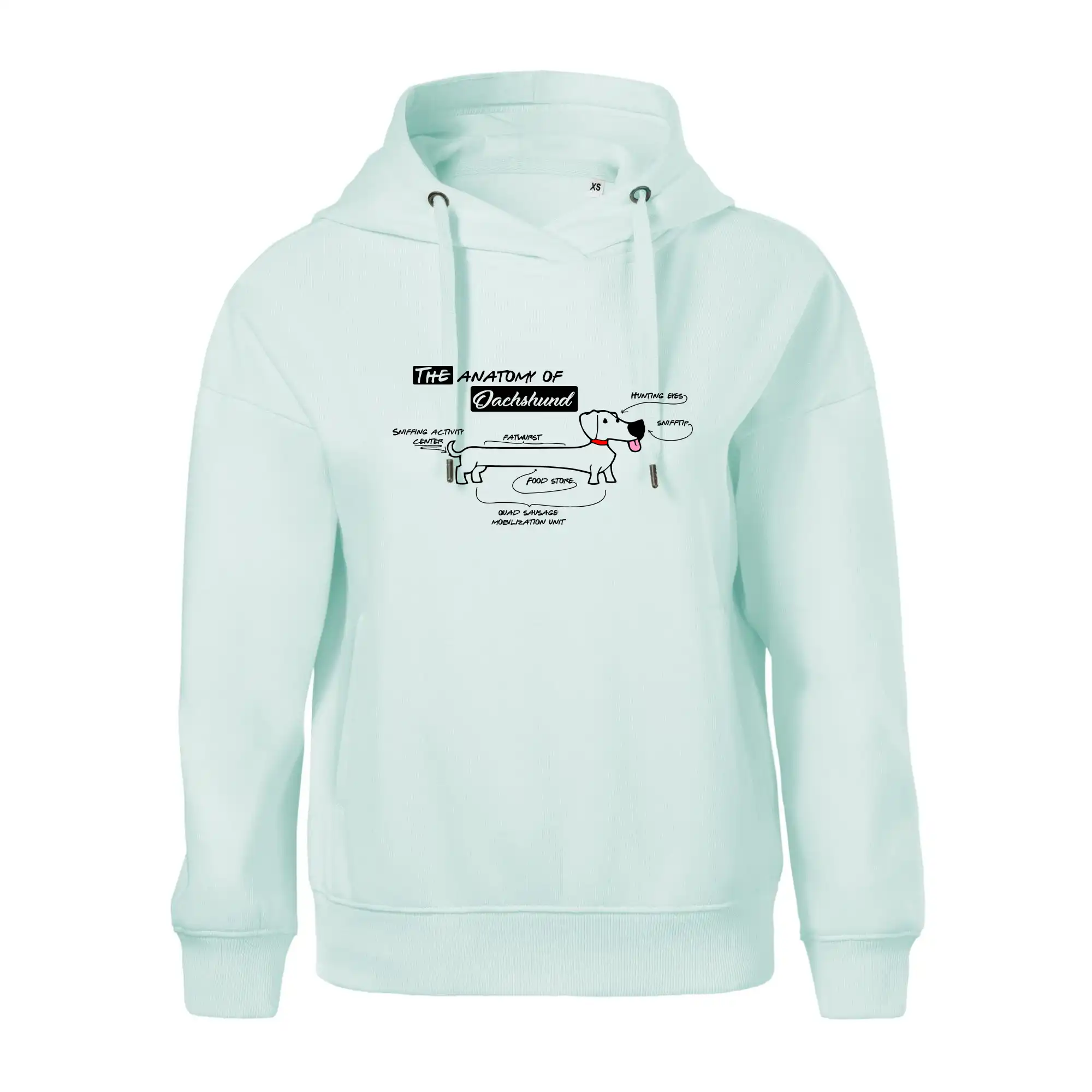 Jezevčík - Anatomie