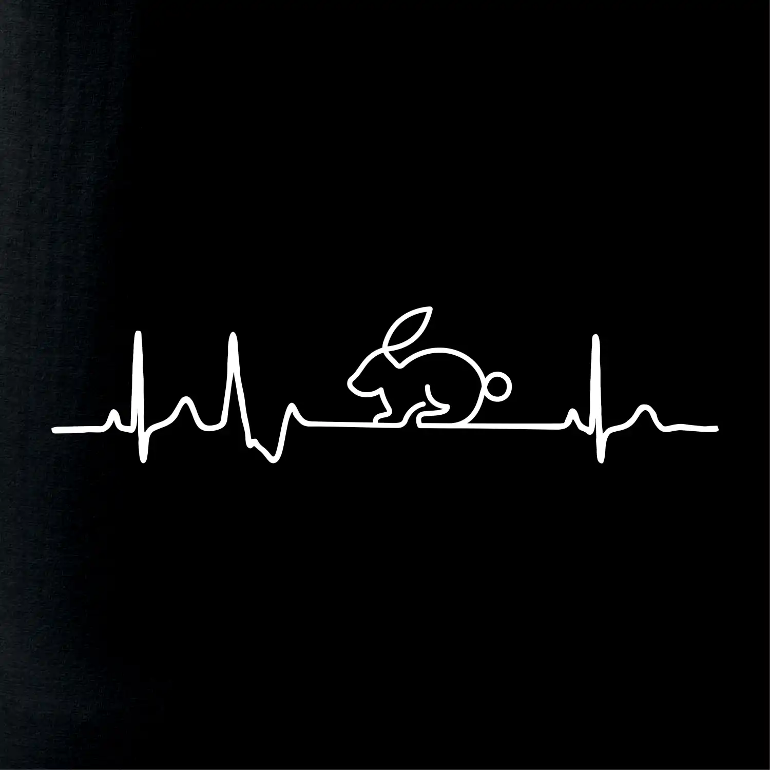 EKG králík