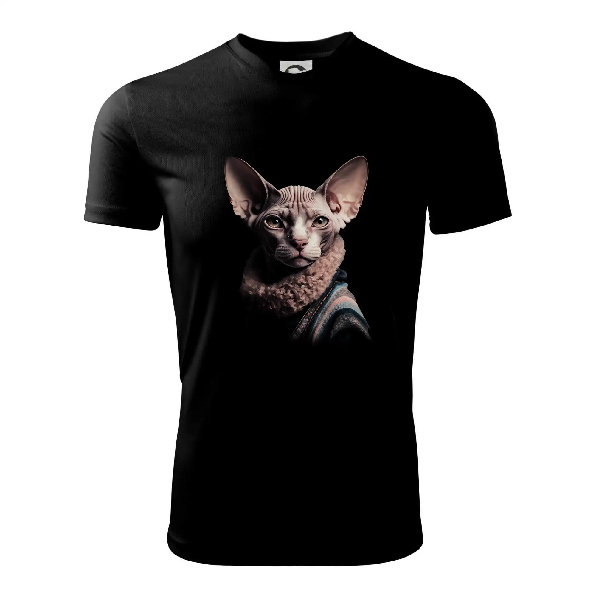 Kočka sphynx s límcem