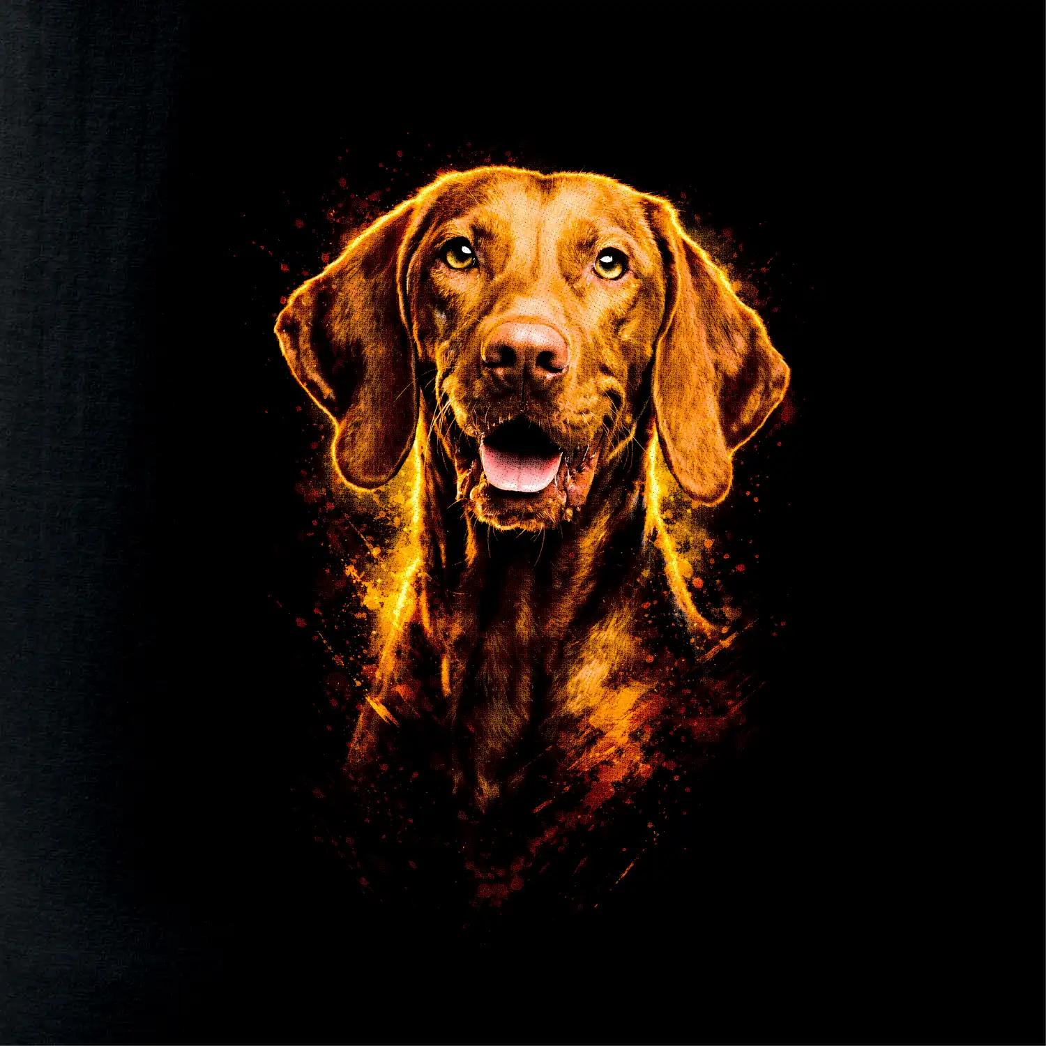 Obrázek polotón Maďarský ohař