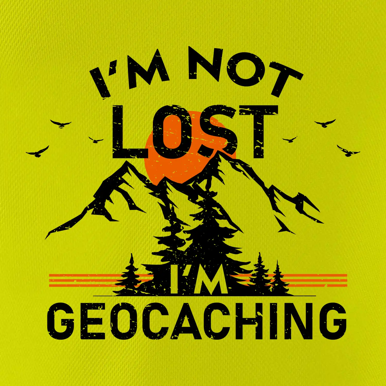 Im not lost - geocaching