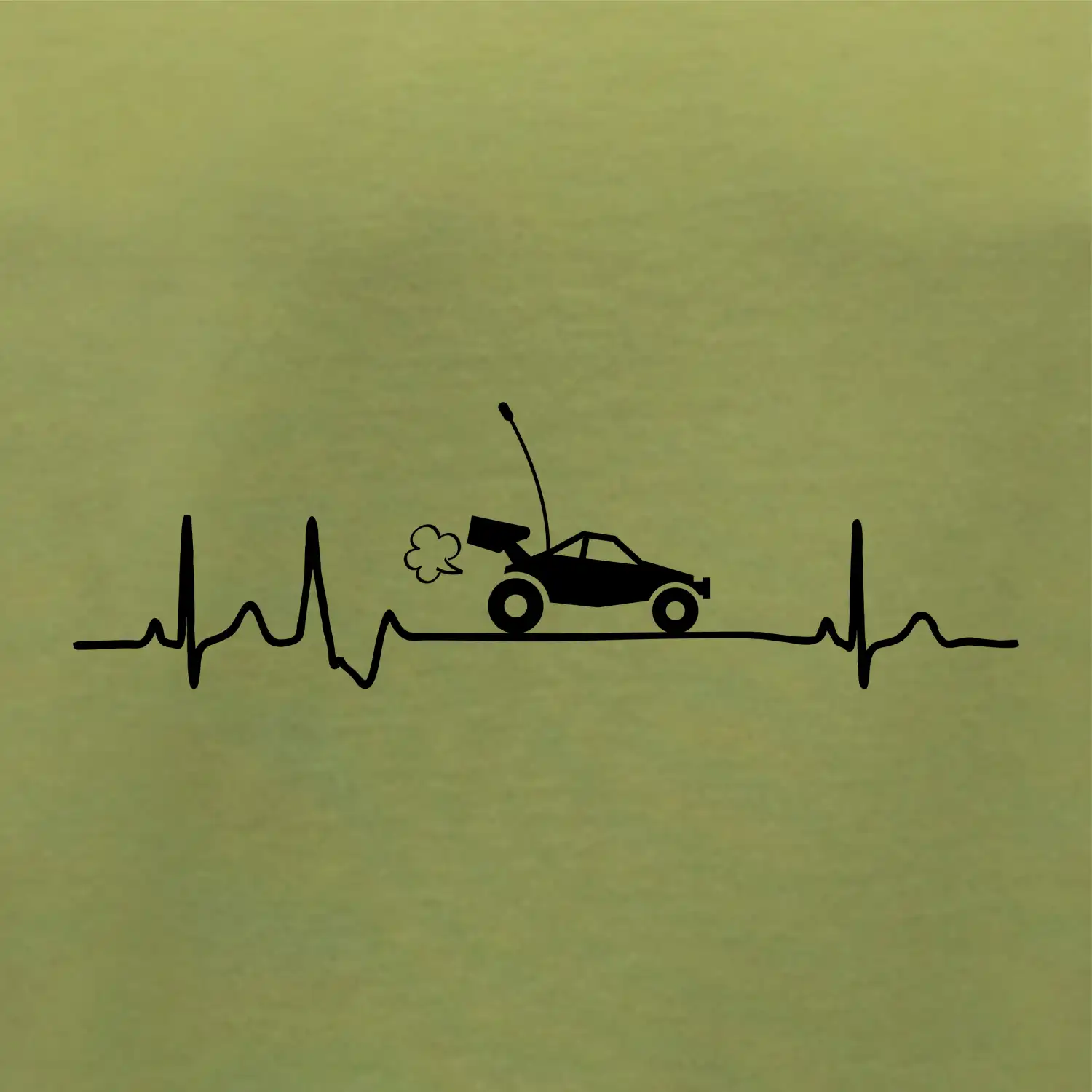 EKG RC model