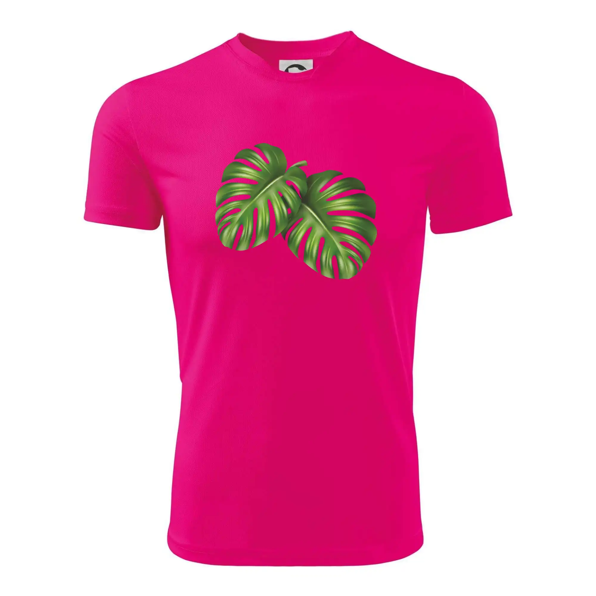 Monstera - dva listy