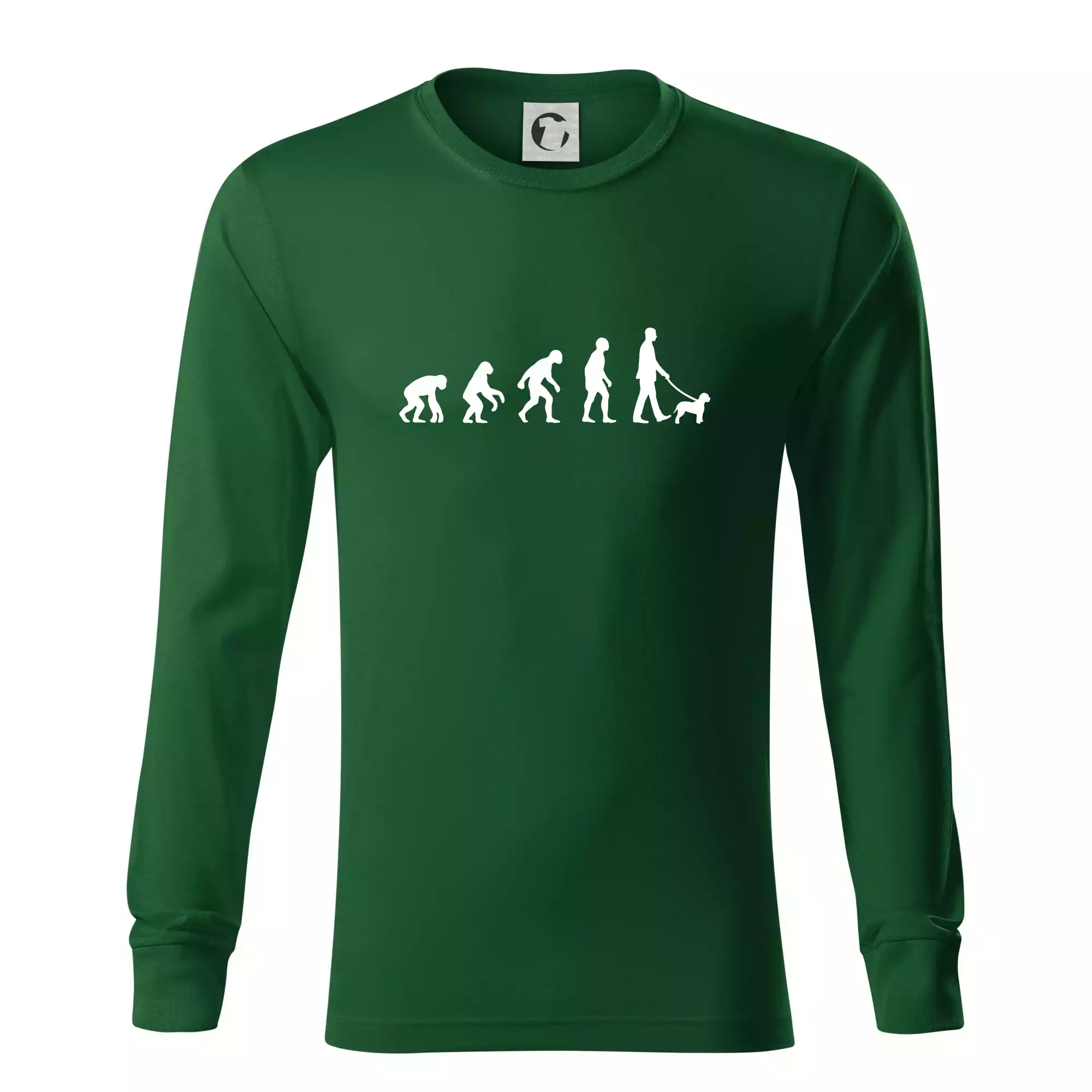 Lagotto romagnolo Evoluce