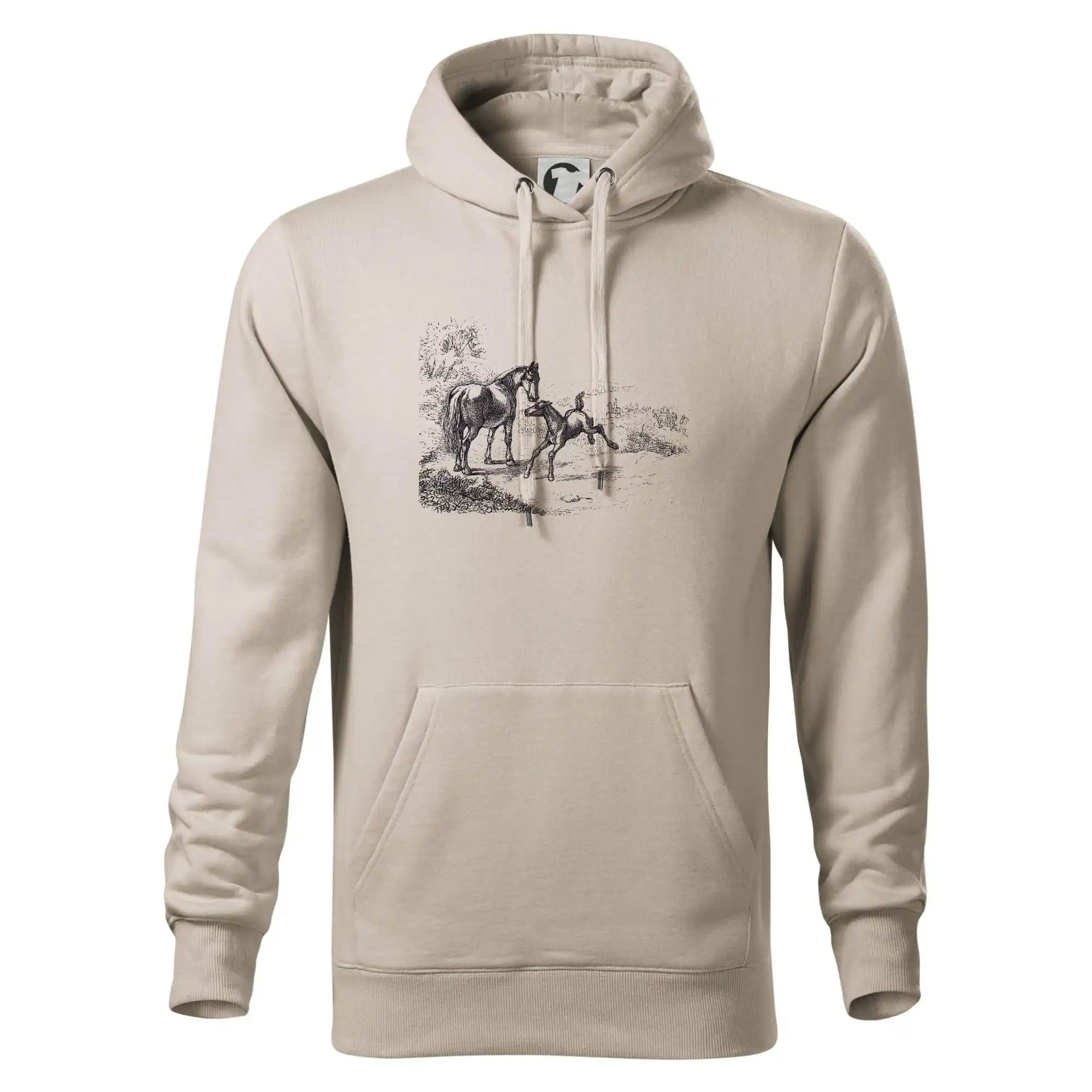 Kůň a hříbě malované