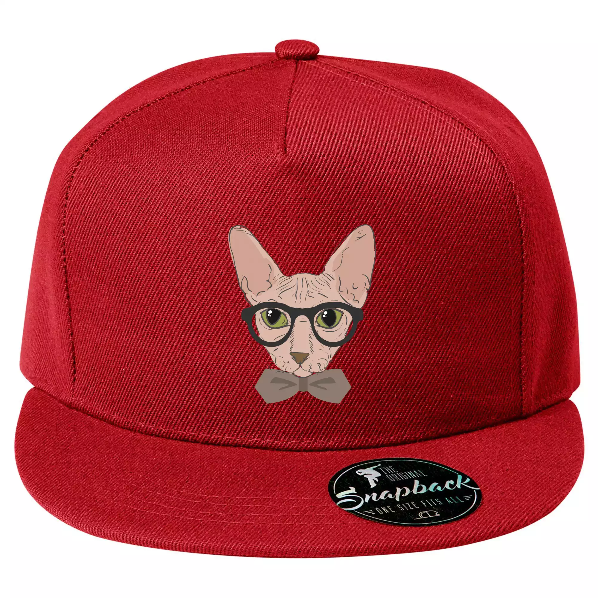 Hipster sphynx