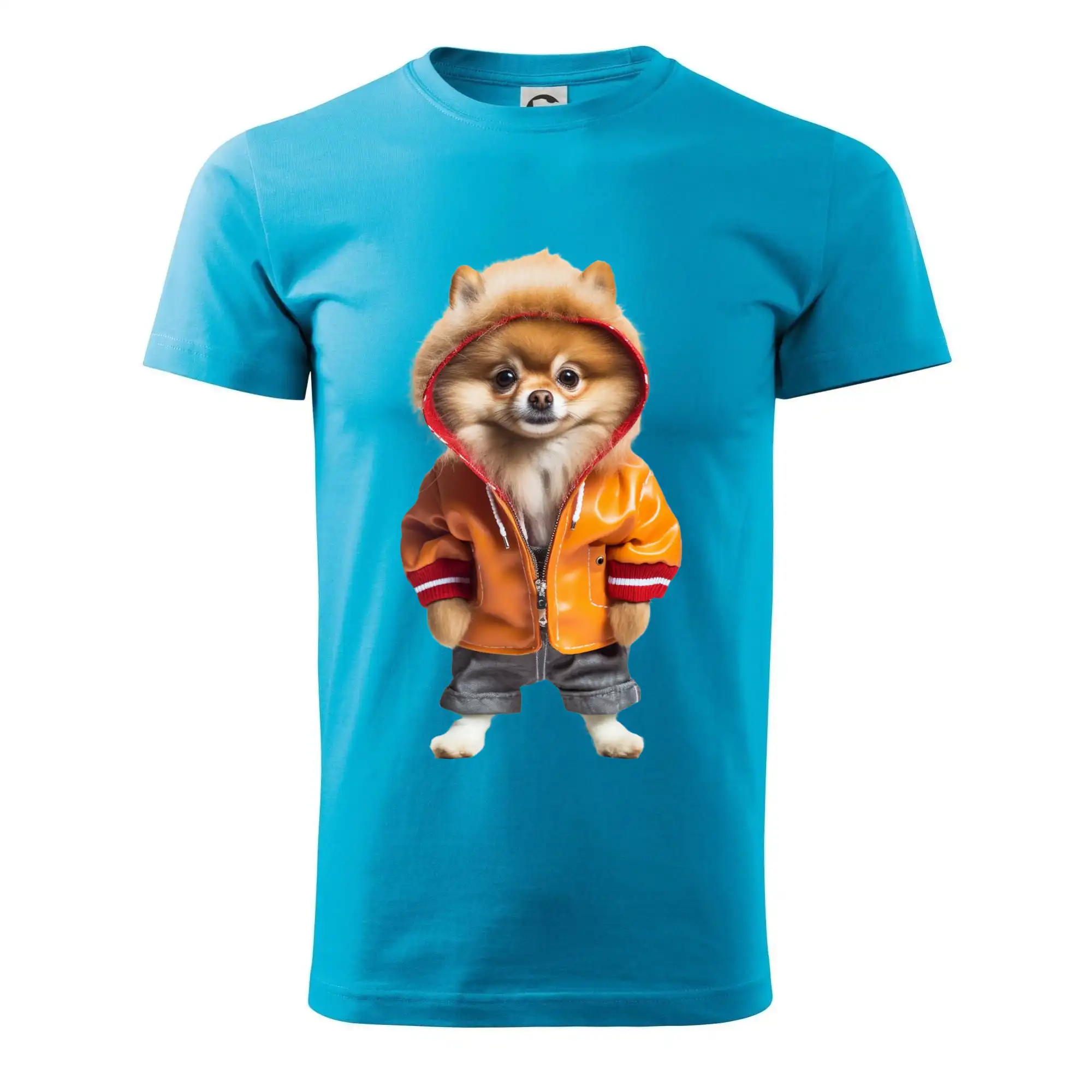 Pomeranian v bundě