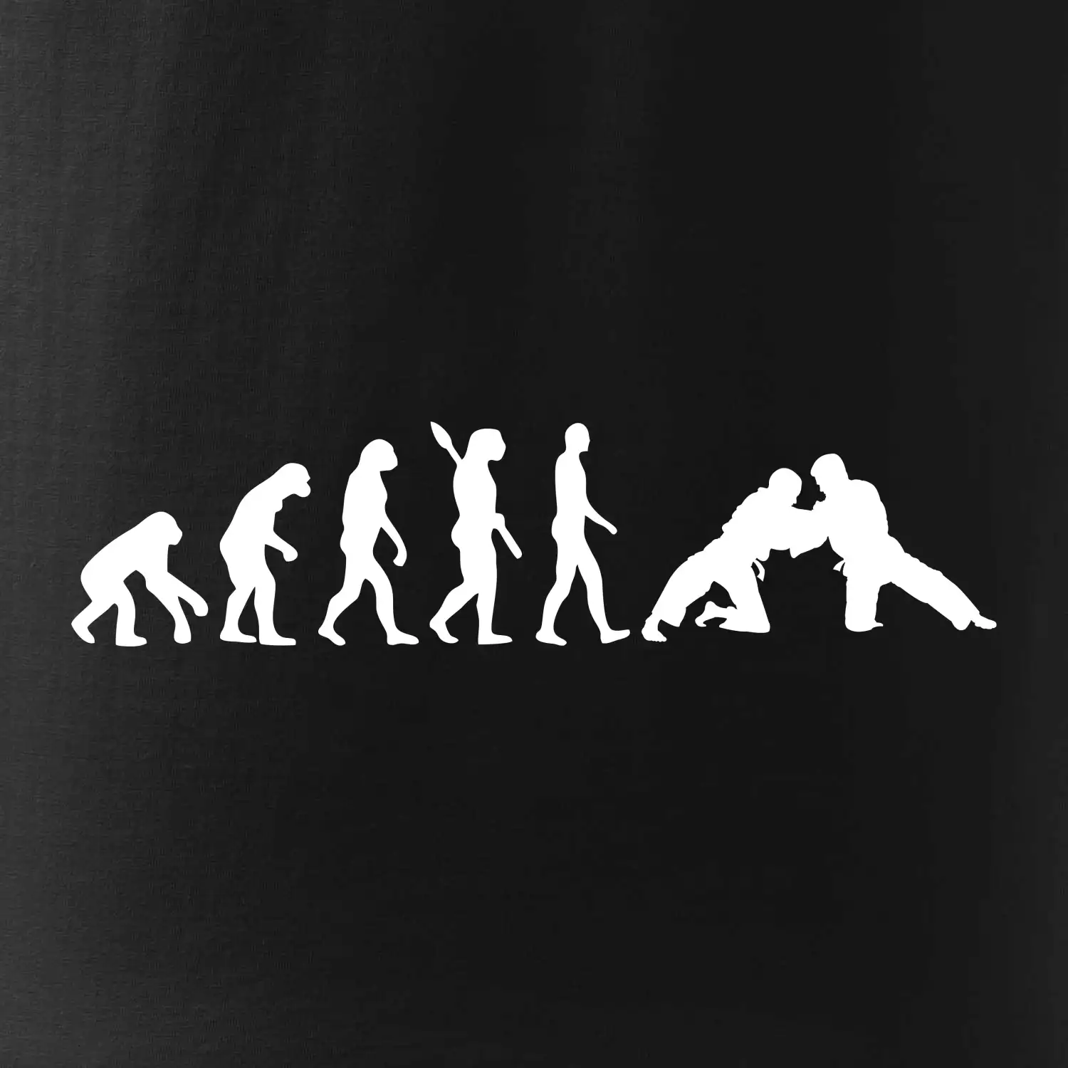 Judo Evoluce