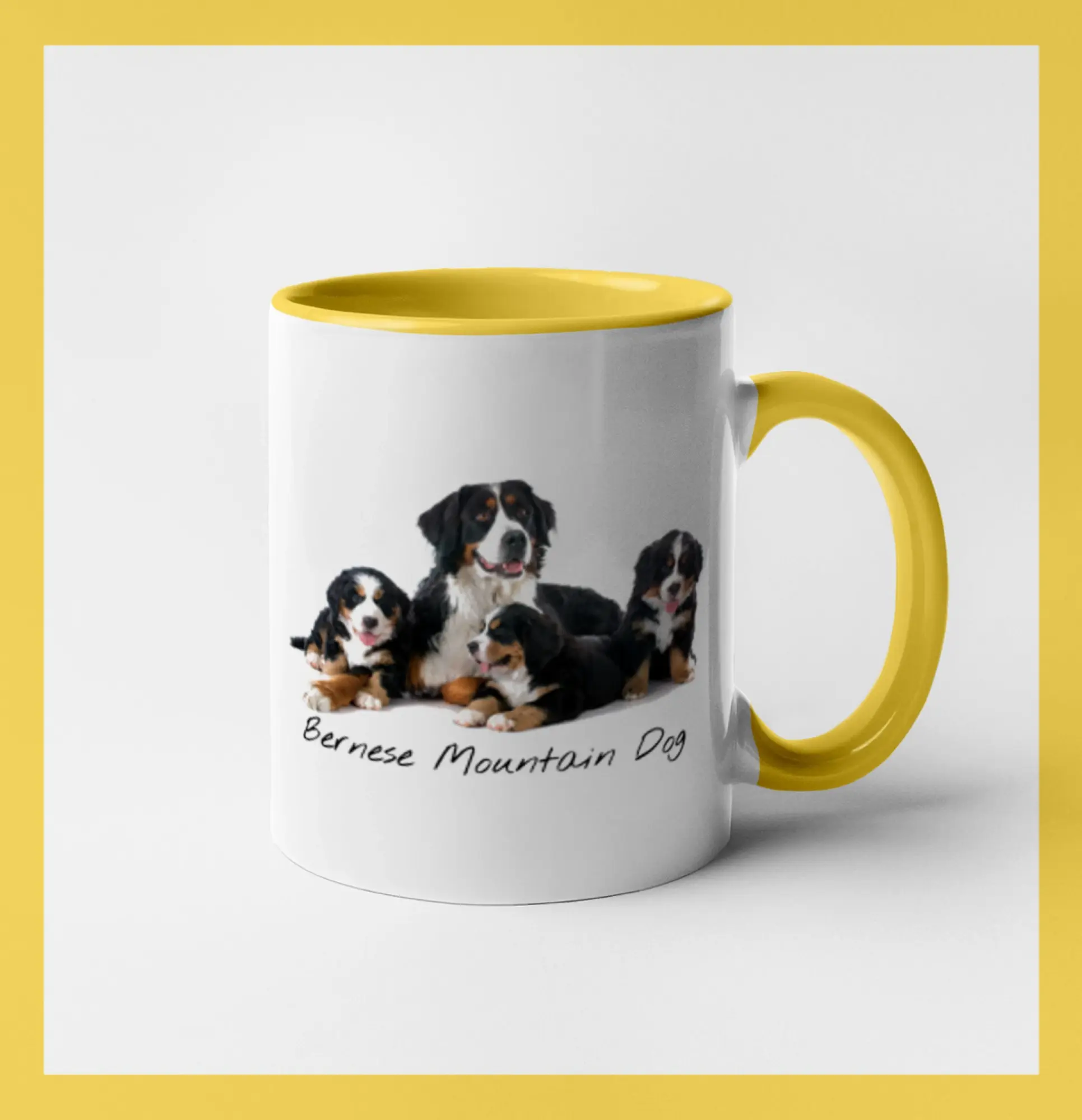 Bernese mountain dog celá rodina