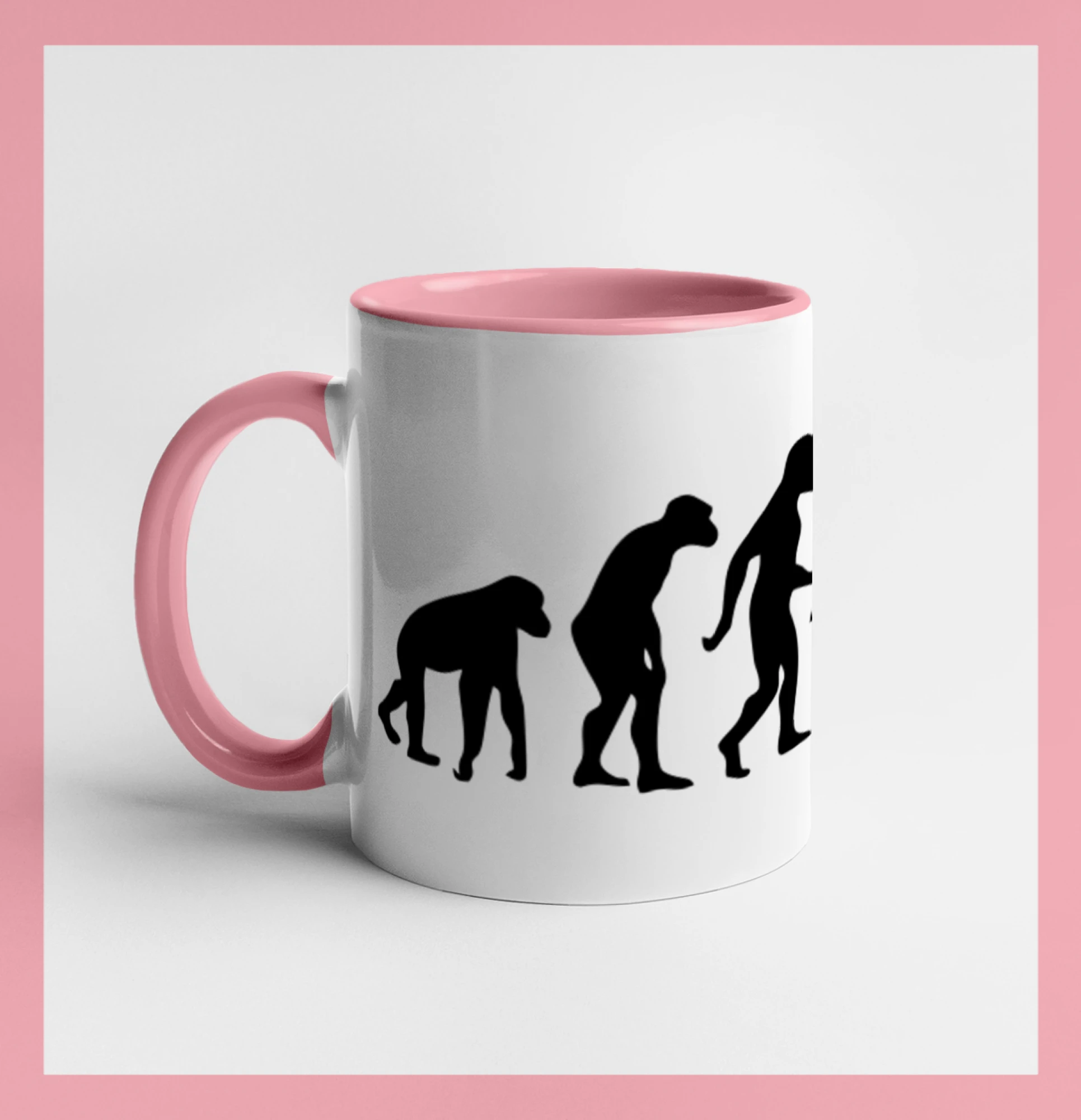 Evolution fitness