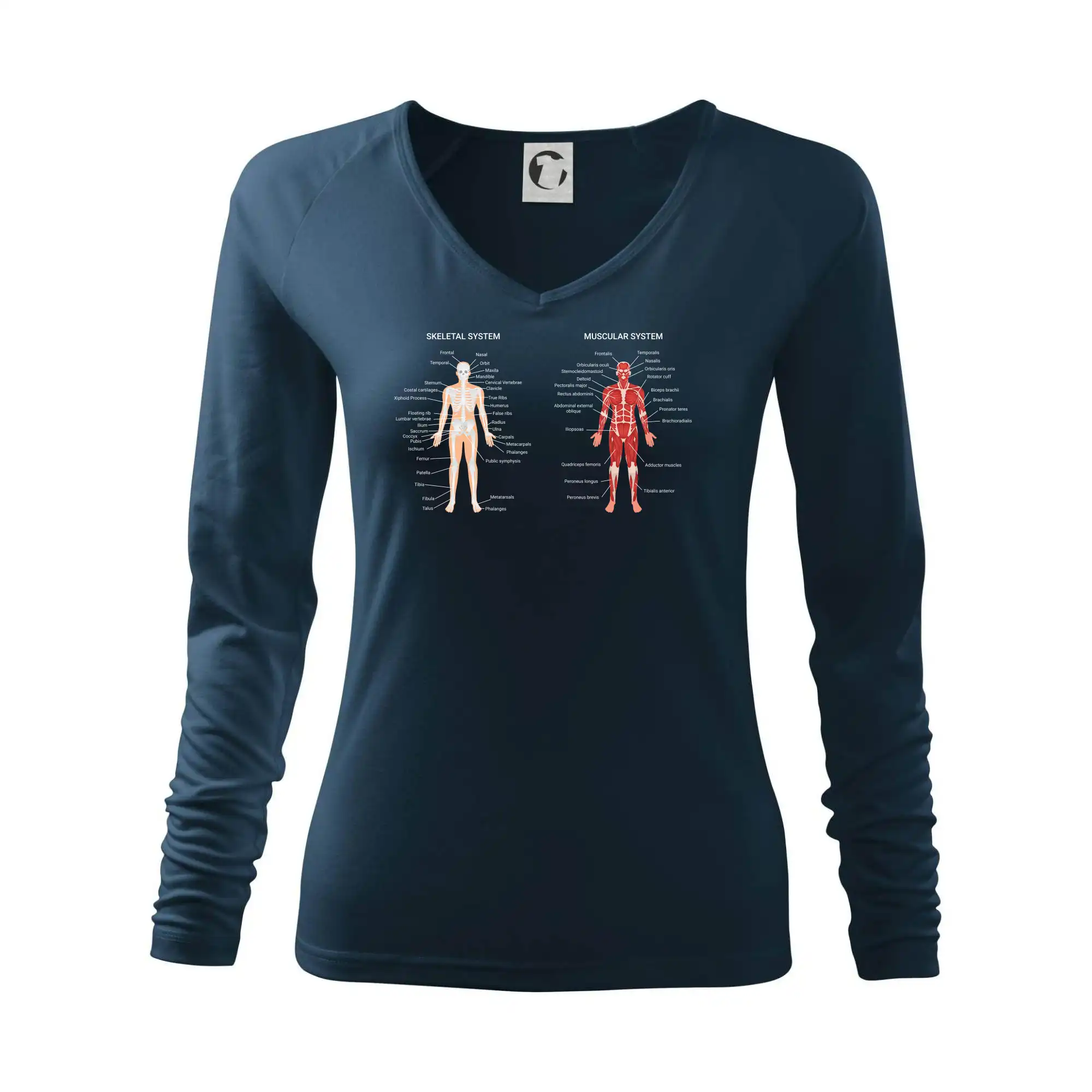 Skelet and Moscular system - Tričko dámske Elegance