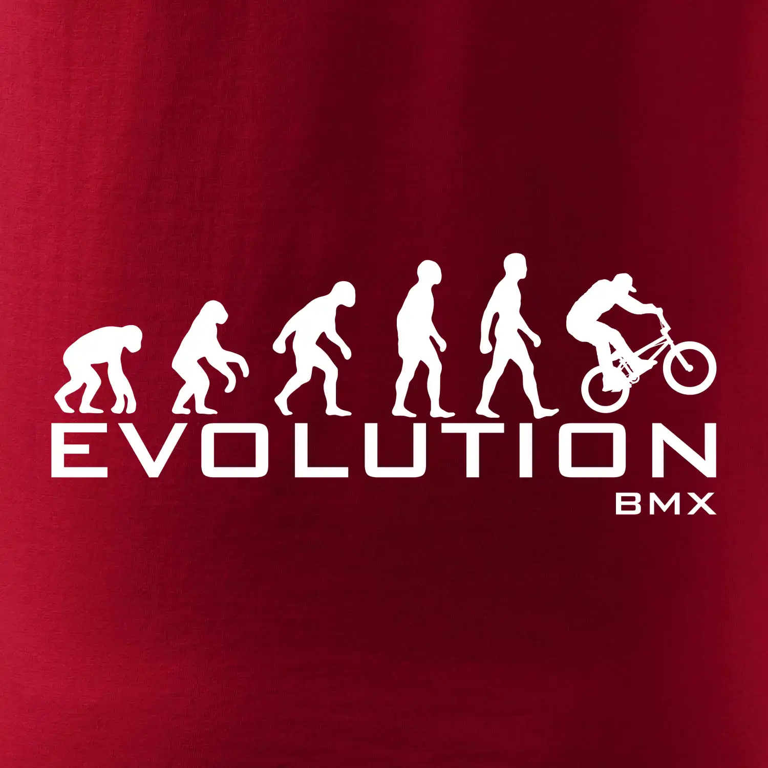 Evoluce BMX