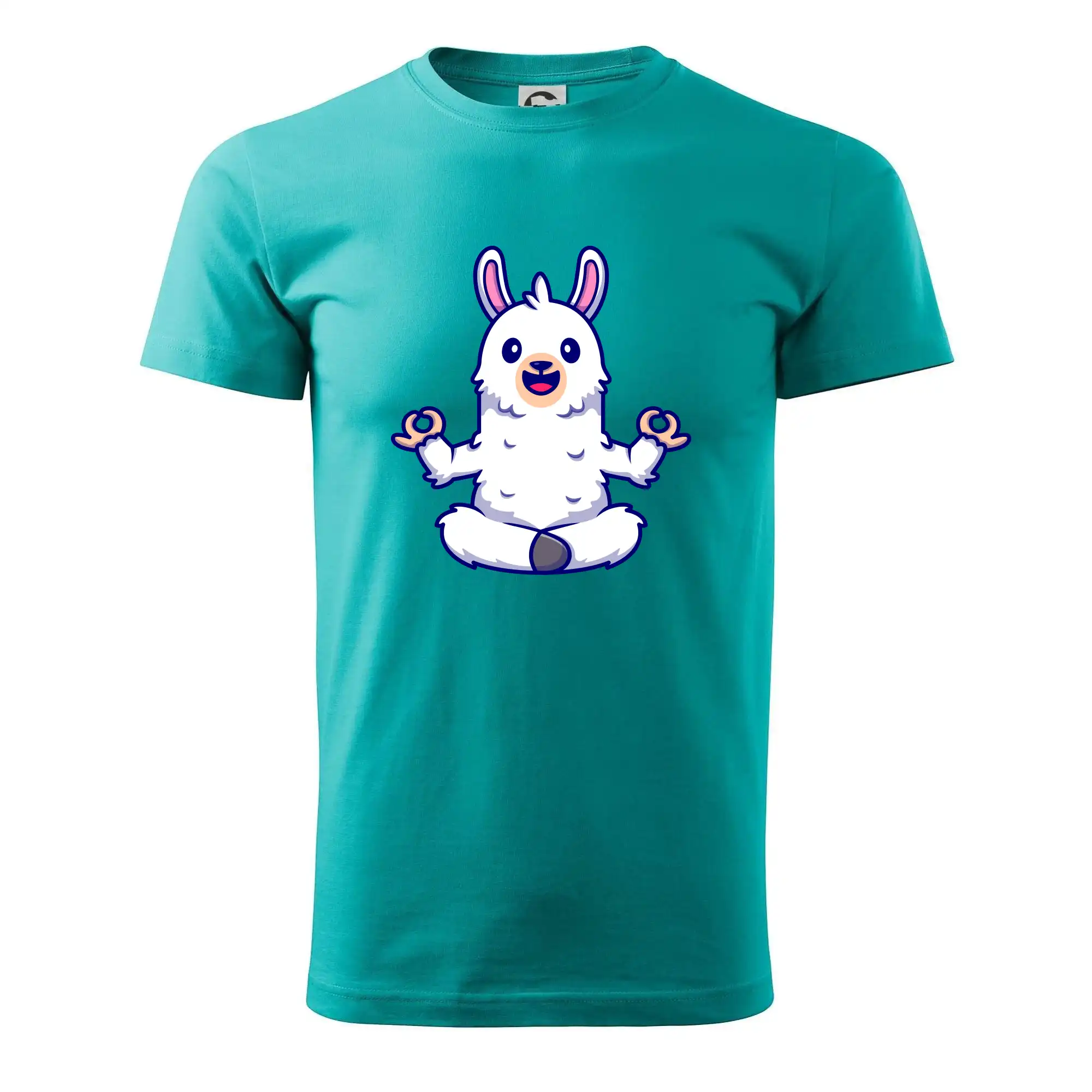 Yoga meditace - lama