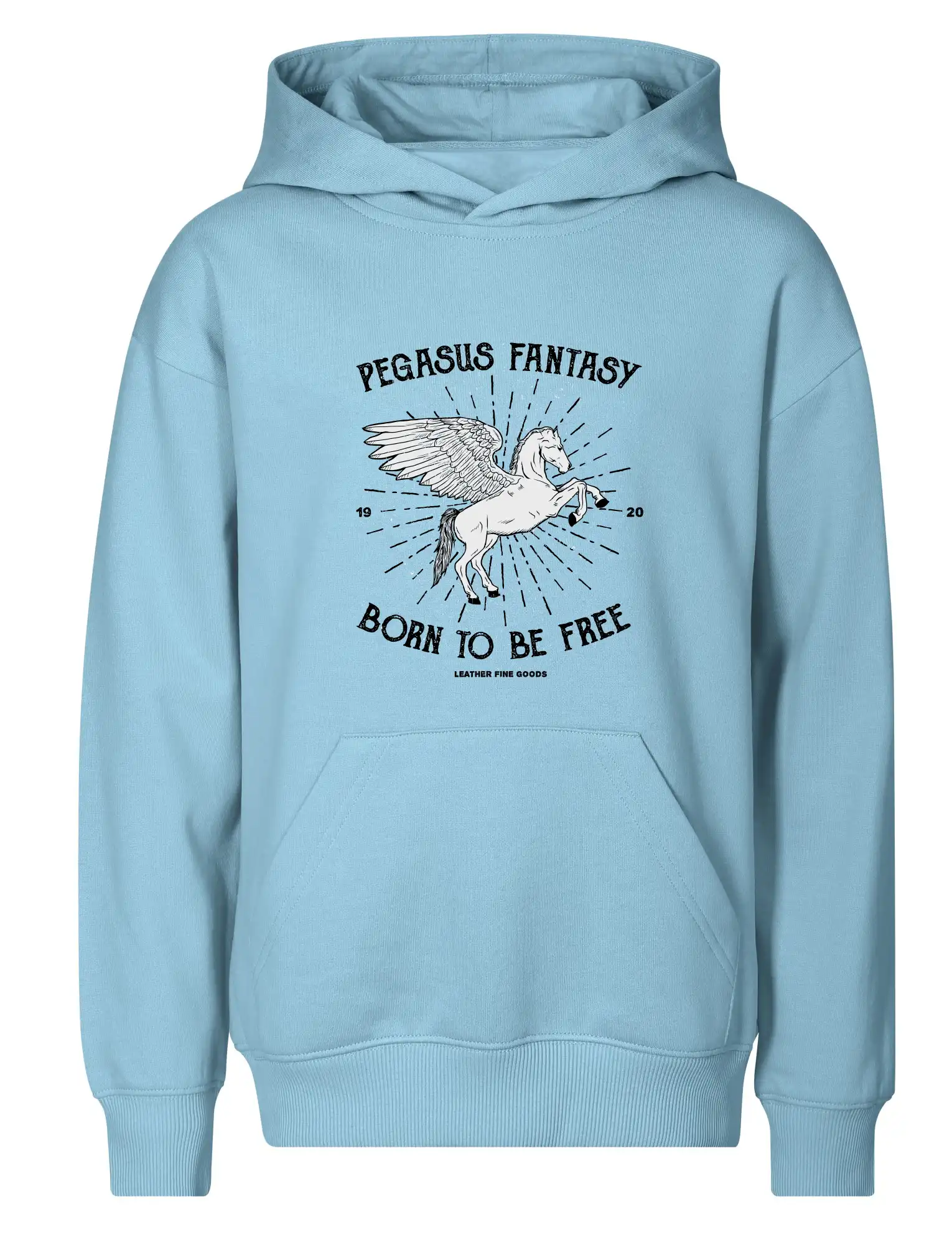 Pegasus fantasy
