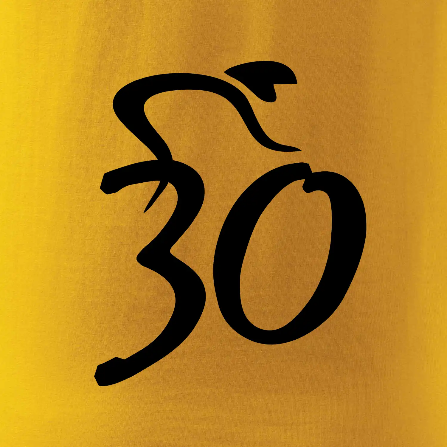 Cyklista slaví třicítku (30)