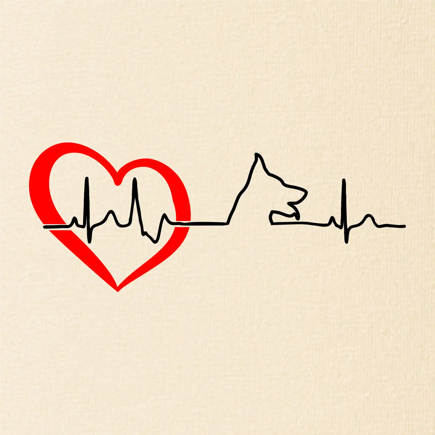 Německý ovčák ekg