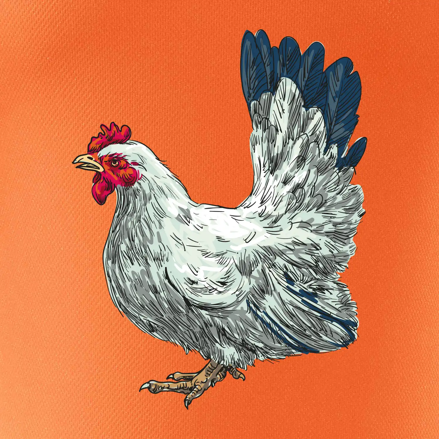 Slepice kreslená bílá