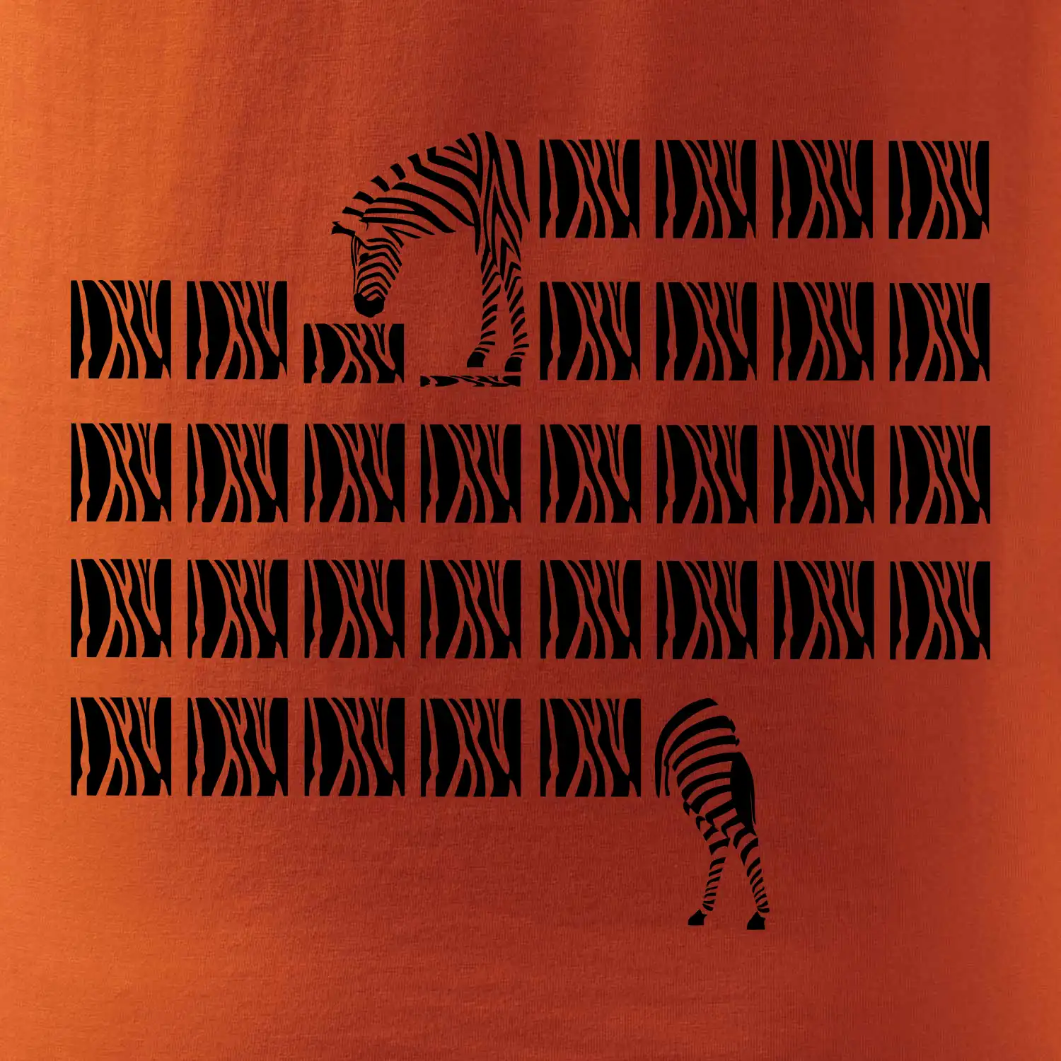 Zebra dlouhá