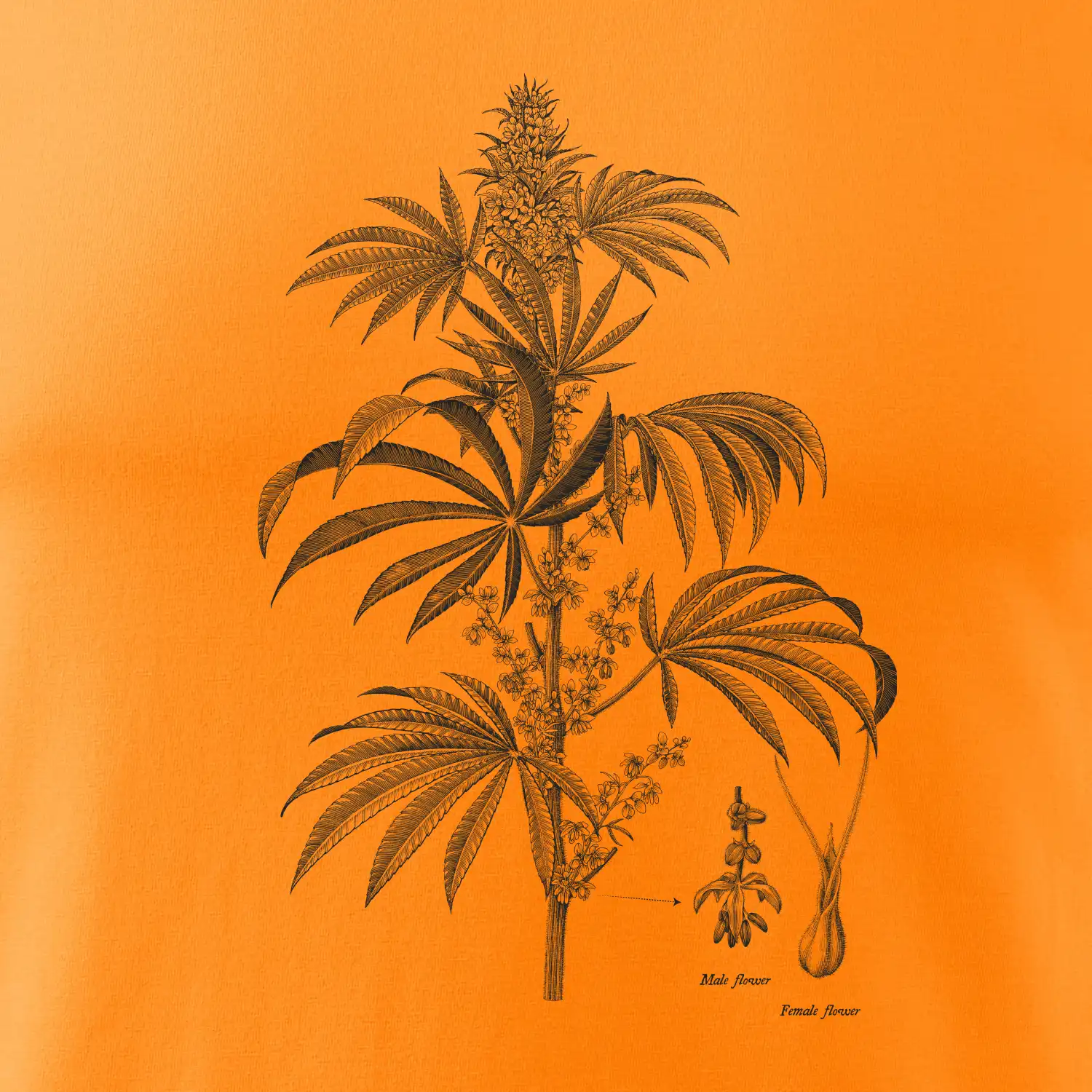 Konopí kytka černobílá