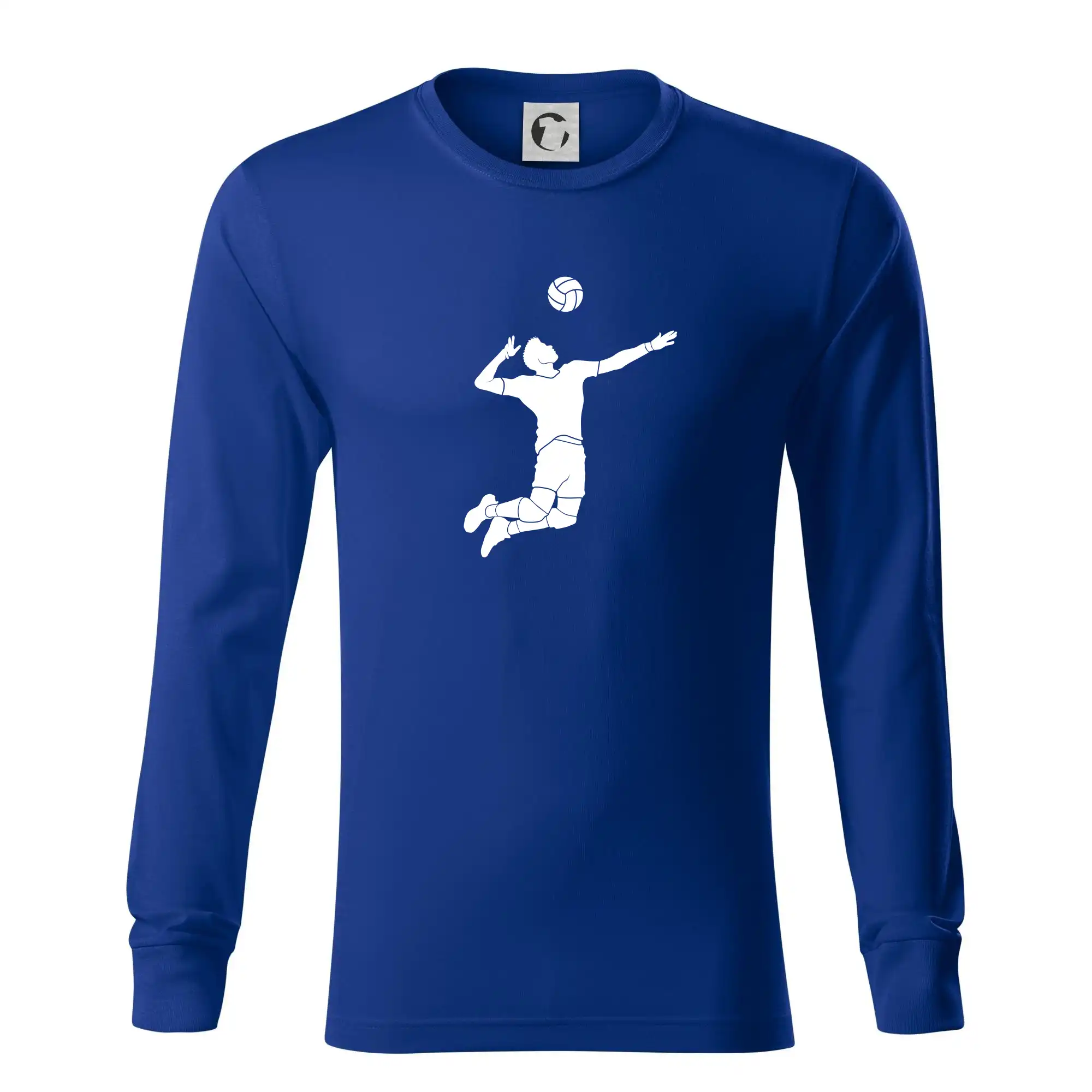 Volejbal nápřah muž