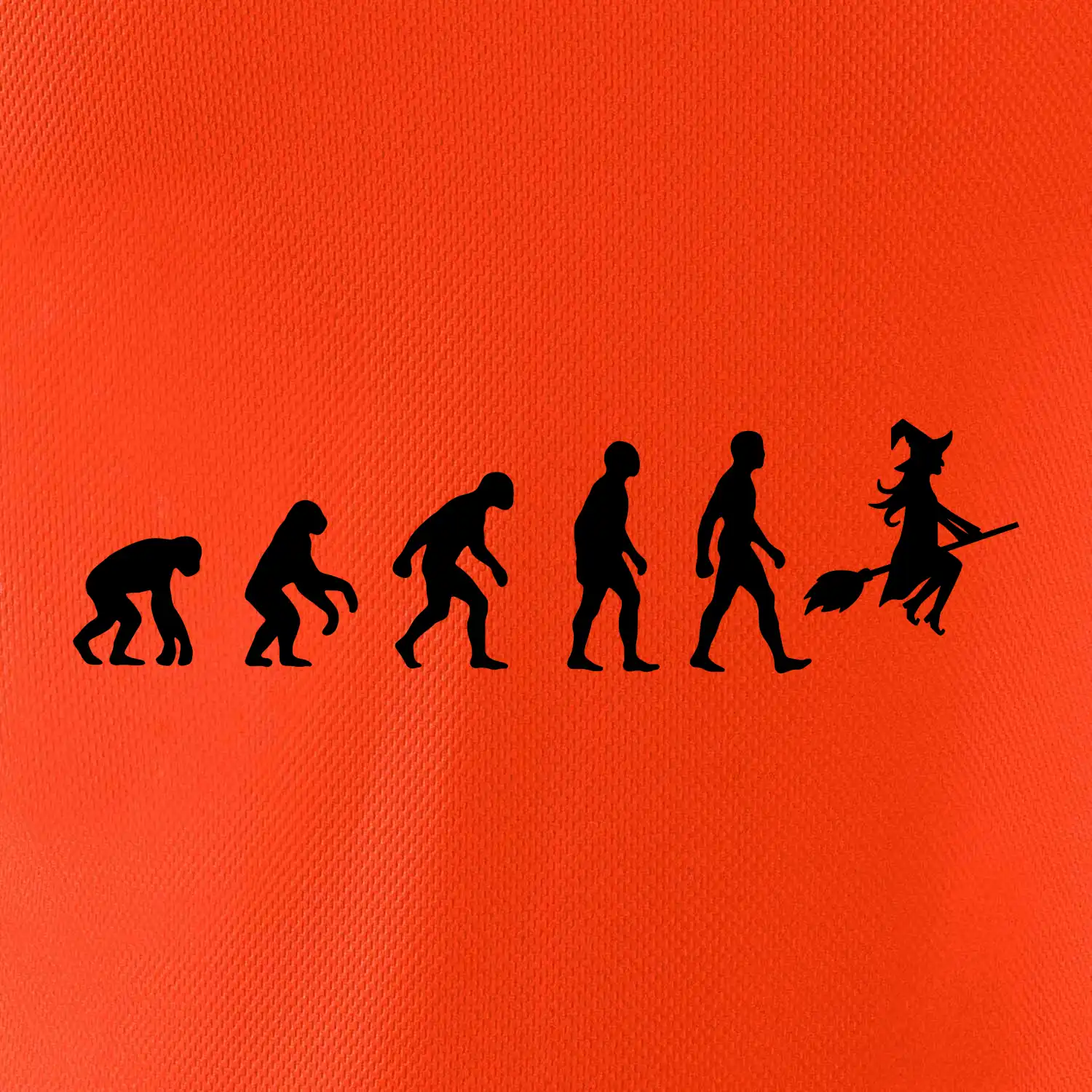 Evoluce čarodějnice