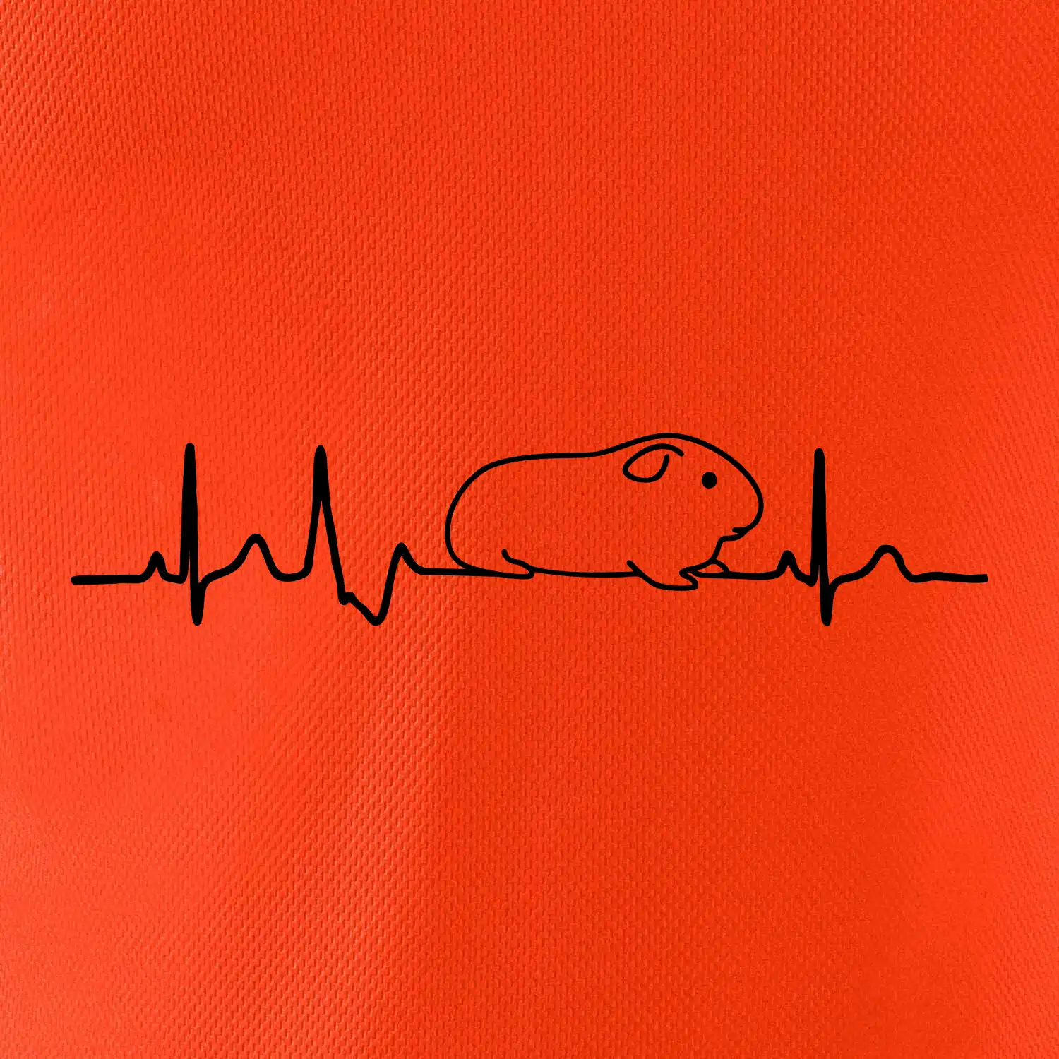 EKG morče