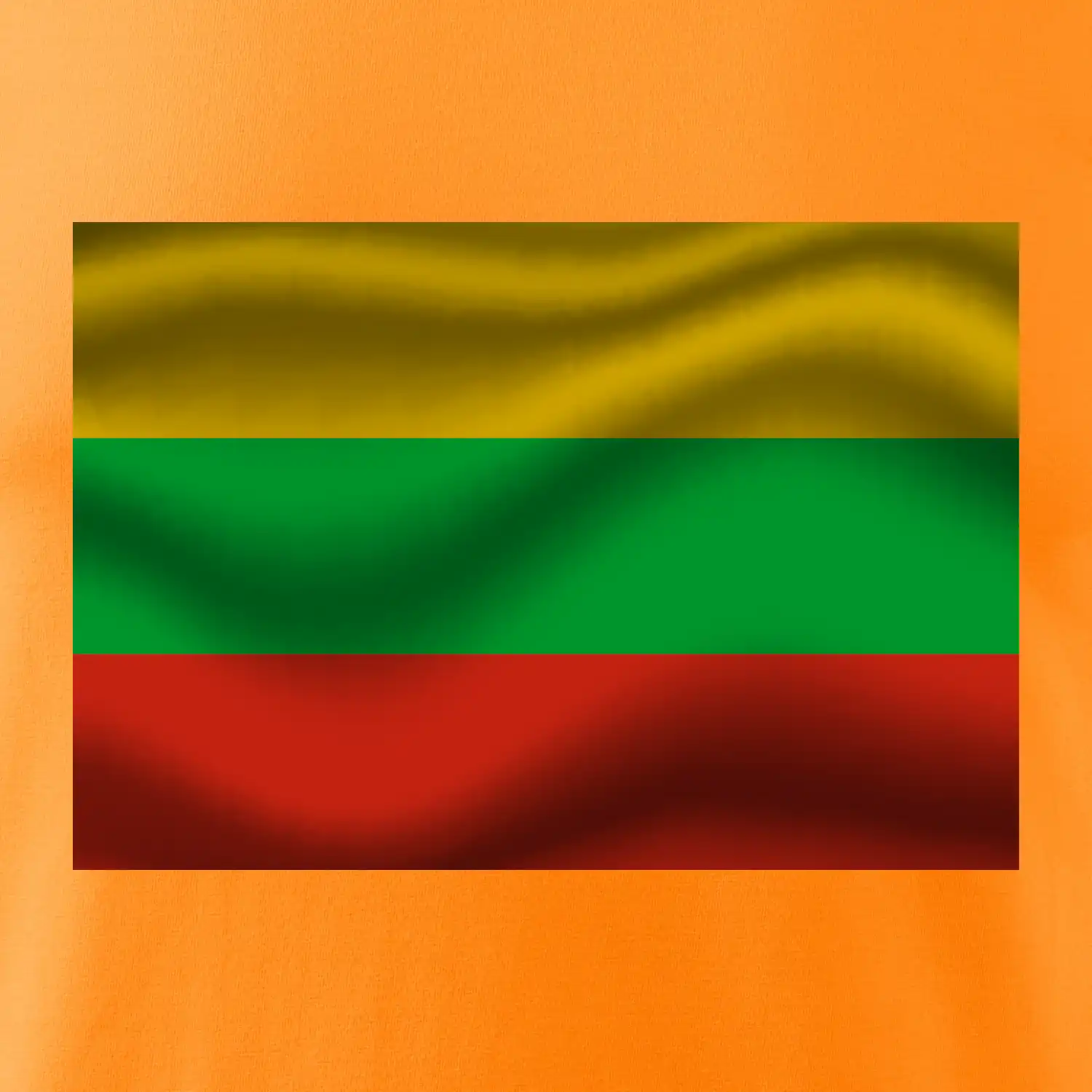 Litva vlajka obdélník